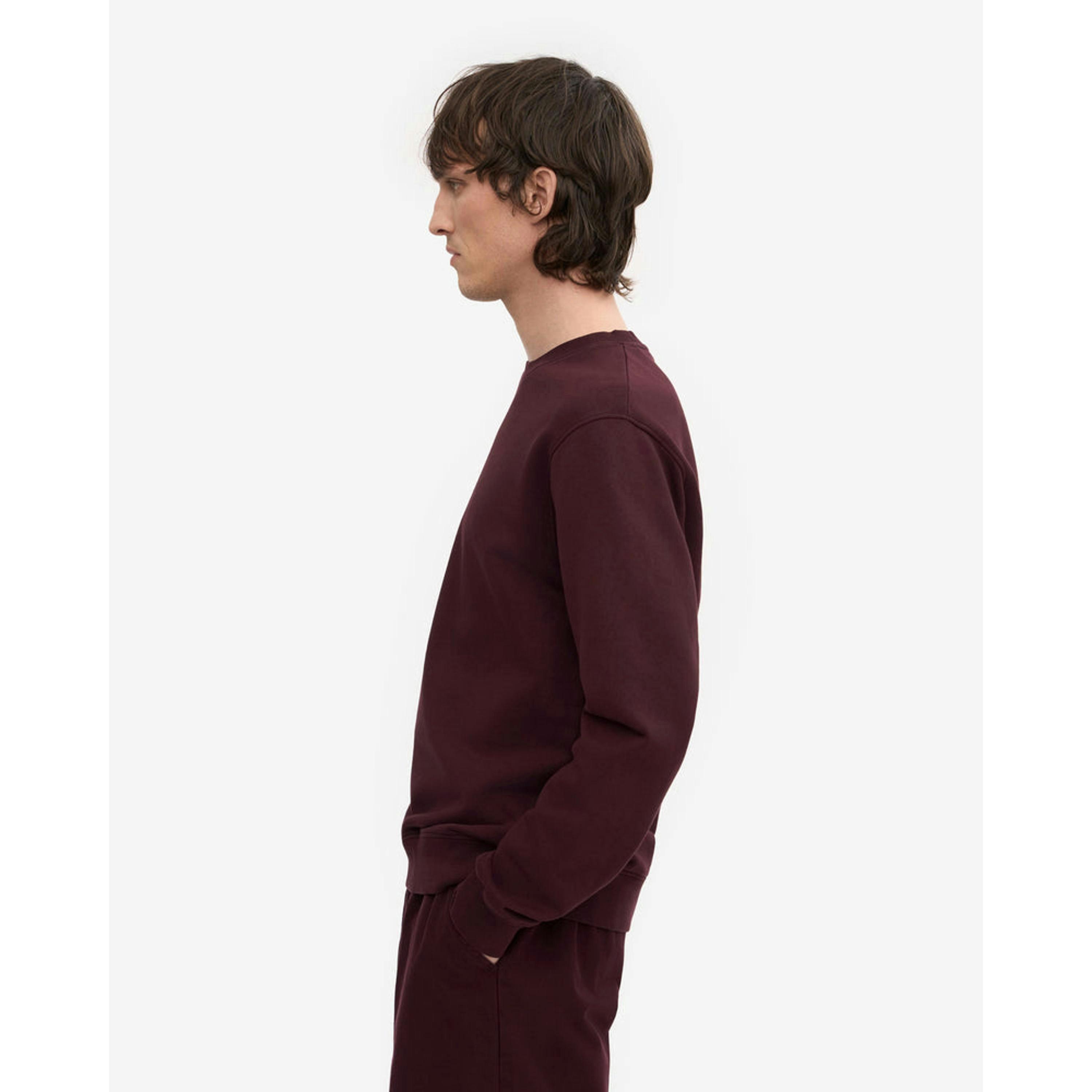 Colourful Standard Sweatshirt  in Wine , view 5 of 5
