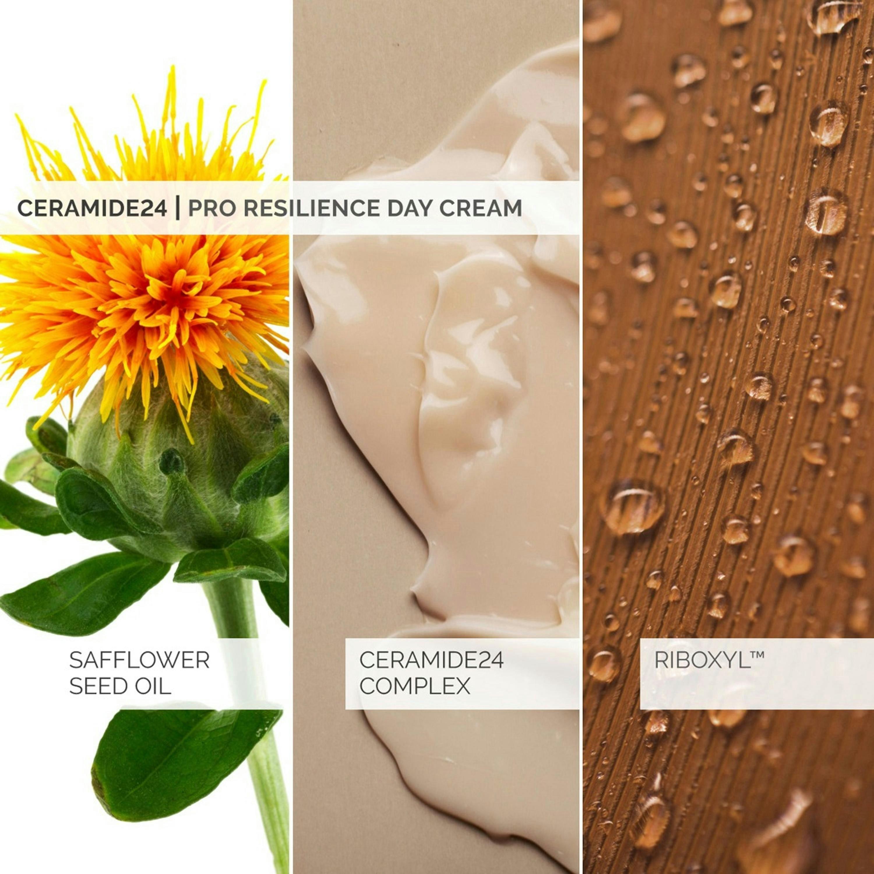 Skinsense Ceramide24 Day Cream 50 ml Single , view 4 of 4