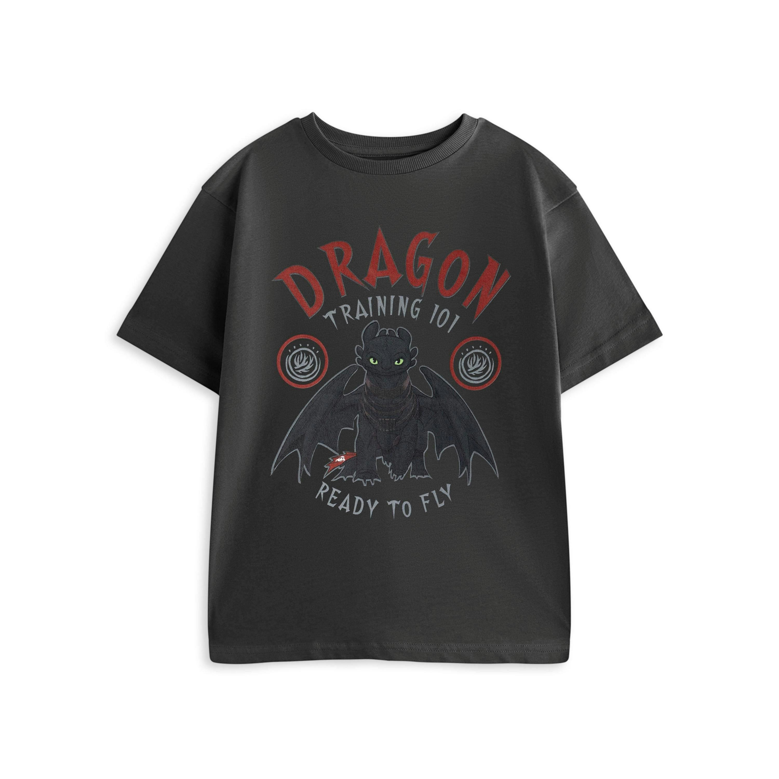 How to Train Your Dragon Boys Grey Training 101 Short Sleeved T-Shirt by Vanilla Underground , view 1 of 4