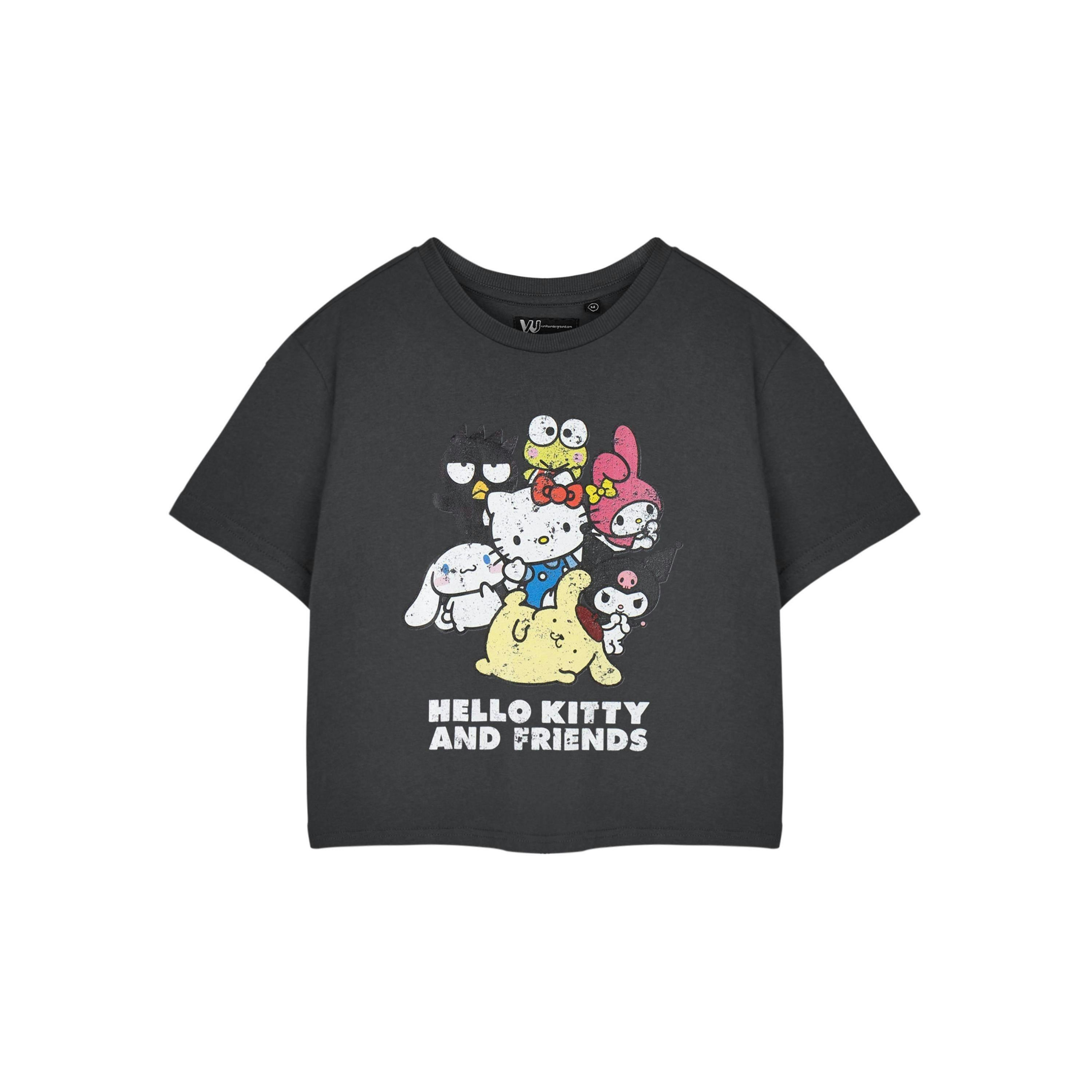 Hello Kitty Womens Grey Hello Kitty & Friends Cropped Short Sleeved T-Shirt by Vanilla Underground , view 1 of 3