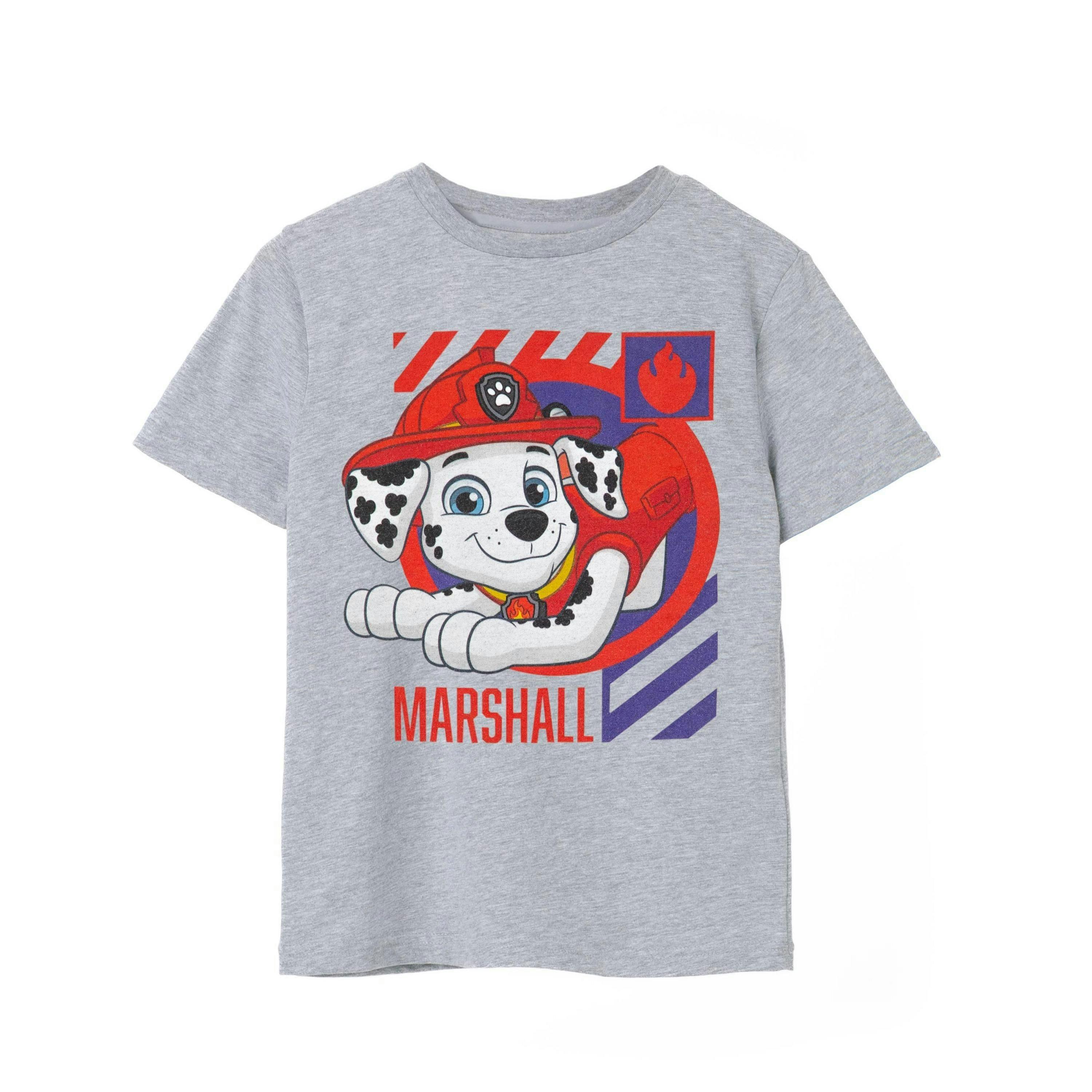 Paw Patrol Boys Grey Marshall Short Sleeved T-Shirt by Vanilla Underground , view 1 of 6