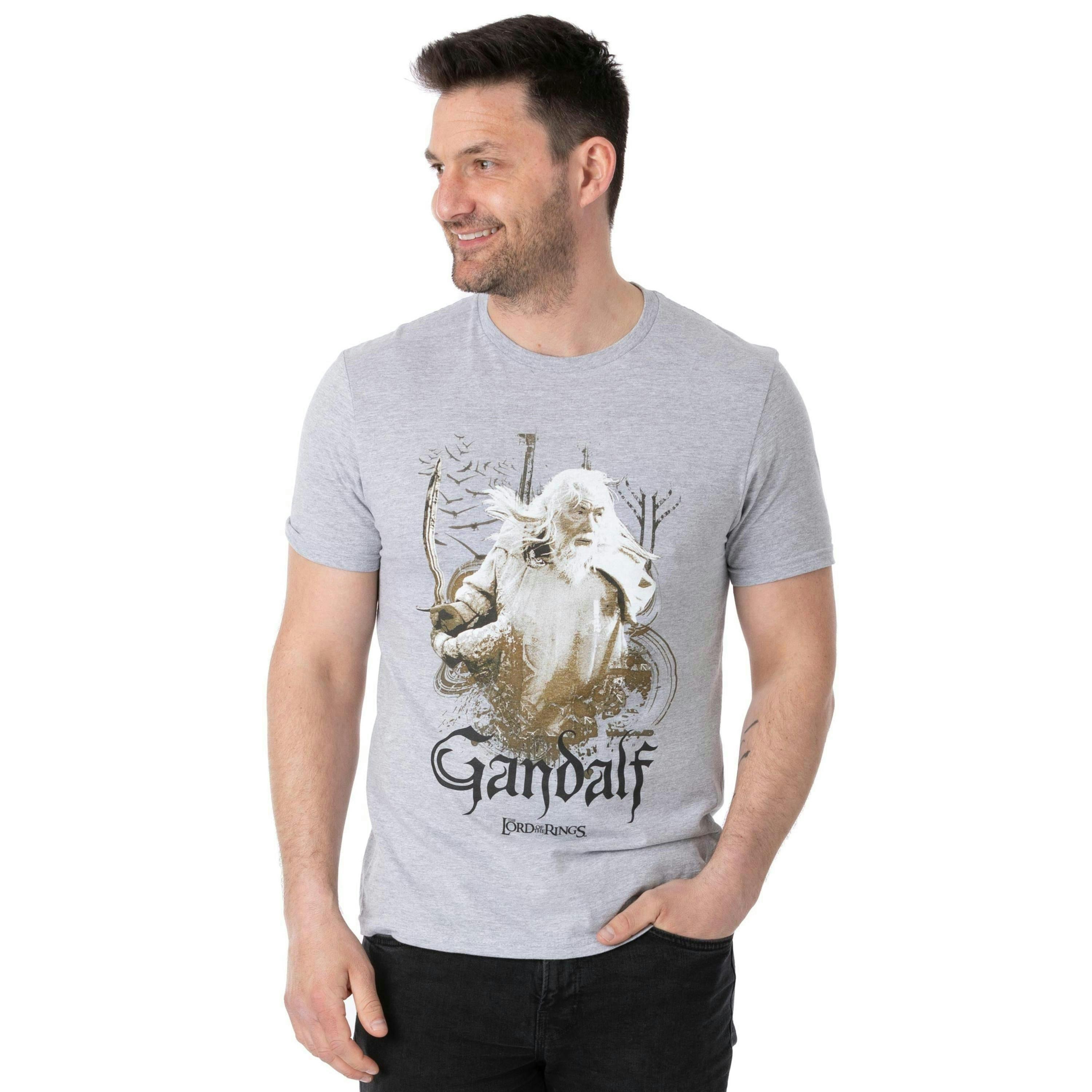 Lord Of The Rings Mens Grey Gandalf Short Sleeved T-Shirt by Vanilla Underground , view 1 of 6