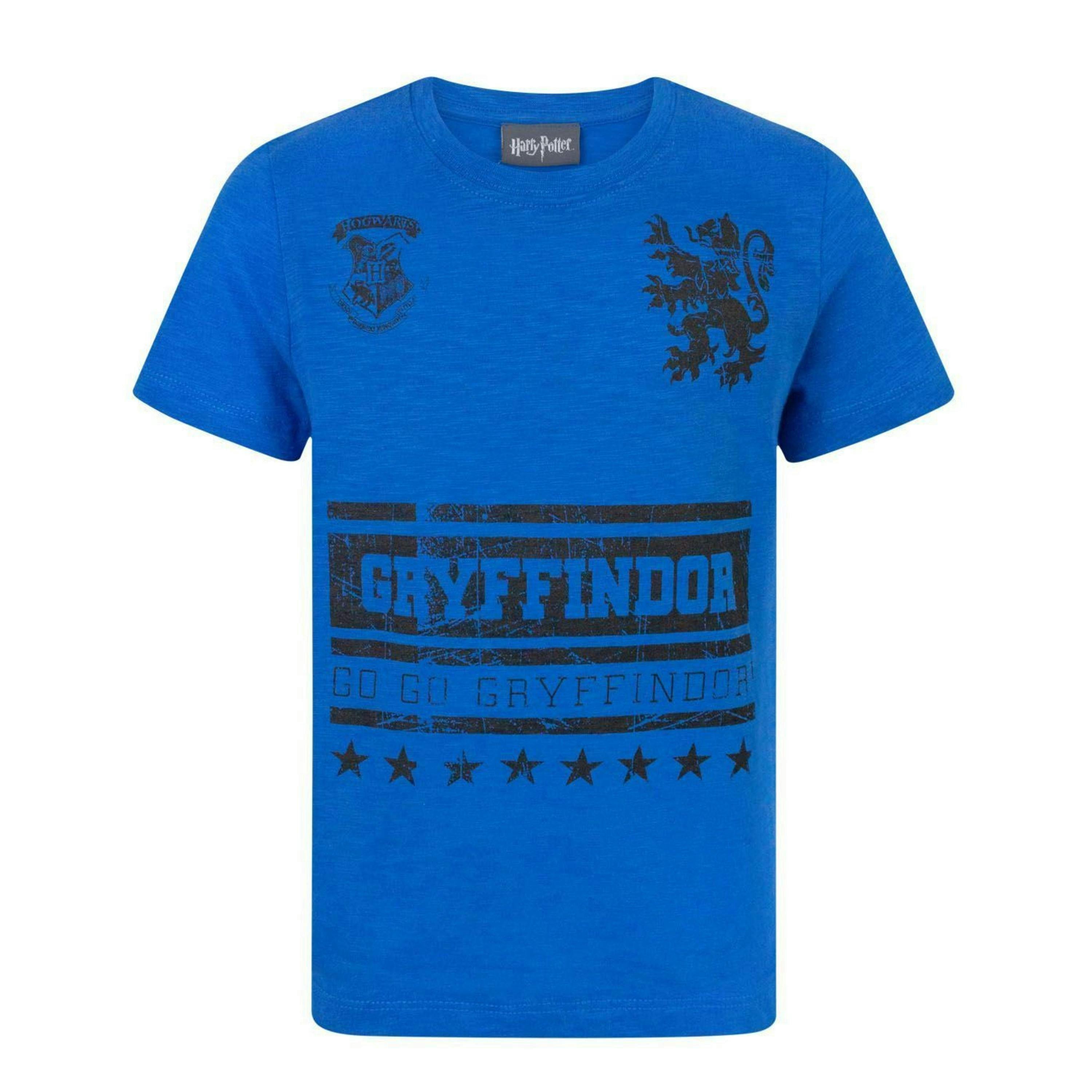 Harry Potter Boys Blue Short Sleeved T-Shirt by Vanilla Underground , view 1 of 1