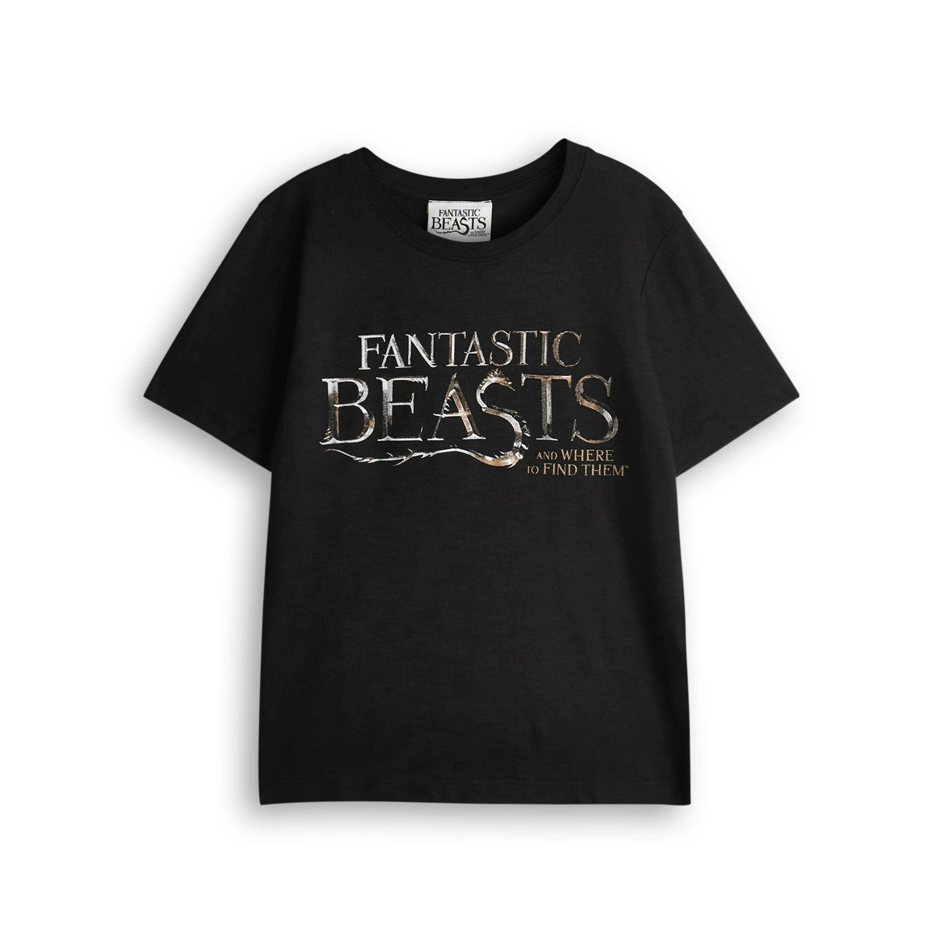 Fantastic Beasts And Where To Find Them Boys Black Short Sleeved T-Shirt by Vanilla Underground , view 1 of 6