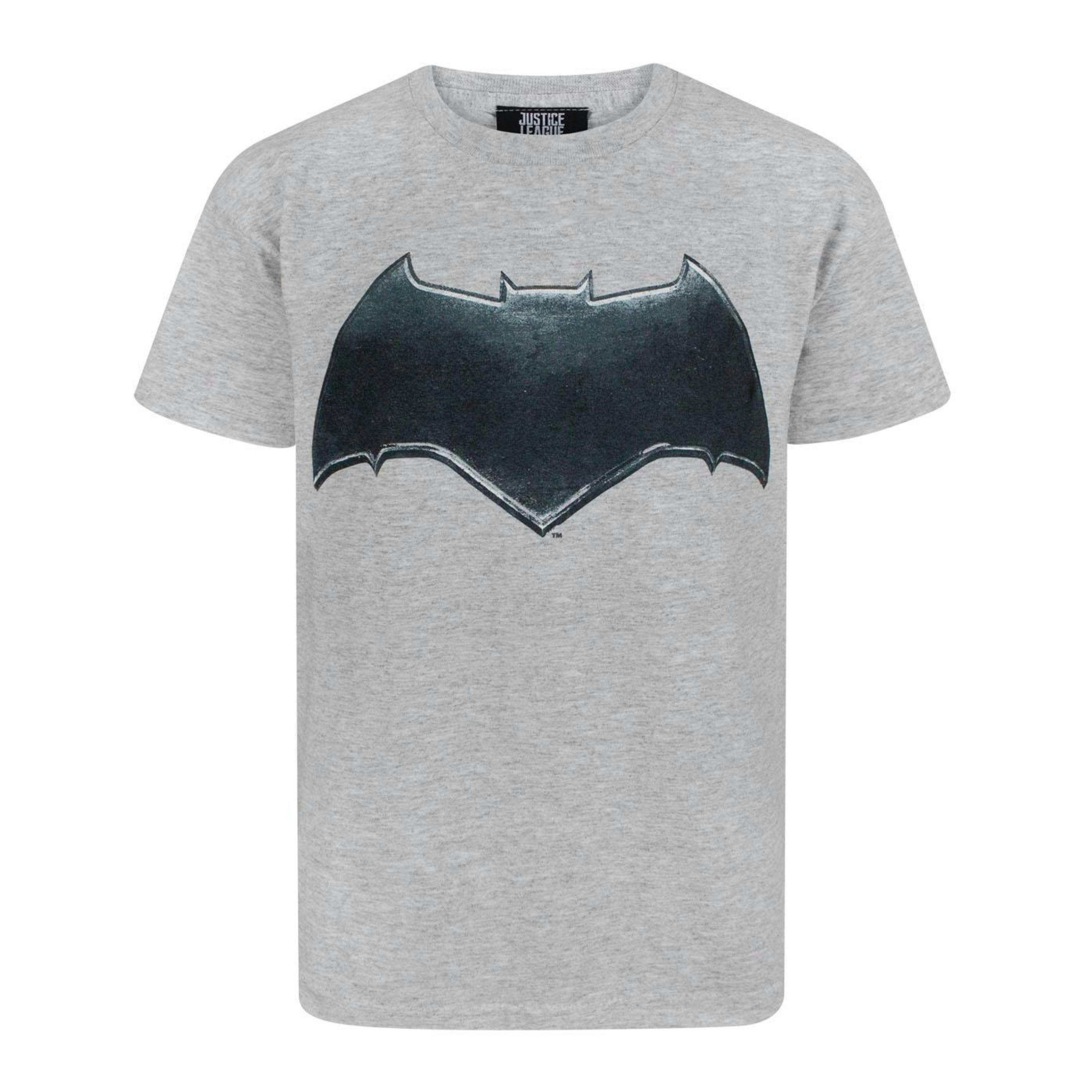 DC Comics Boys Multicoloured Batman Logo Short Sleeved T-Shirt by Vanilla Underground , view 1 of 4