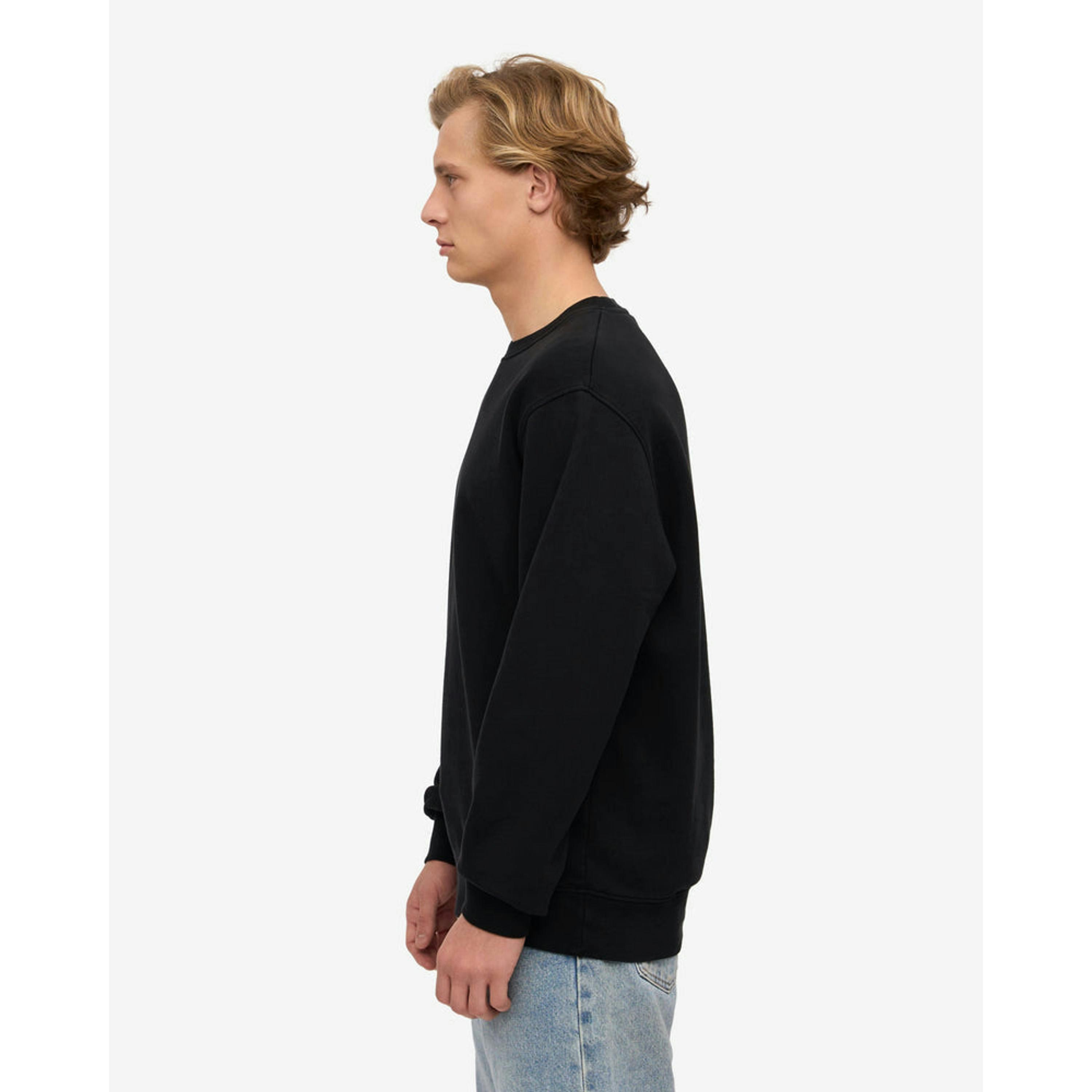 Colourful Standard Sweatshirt  in Black , view 5 of 5