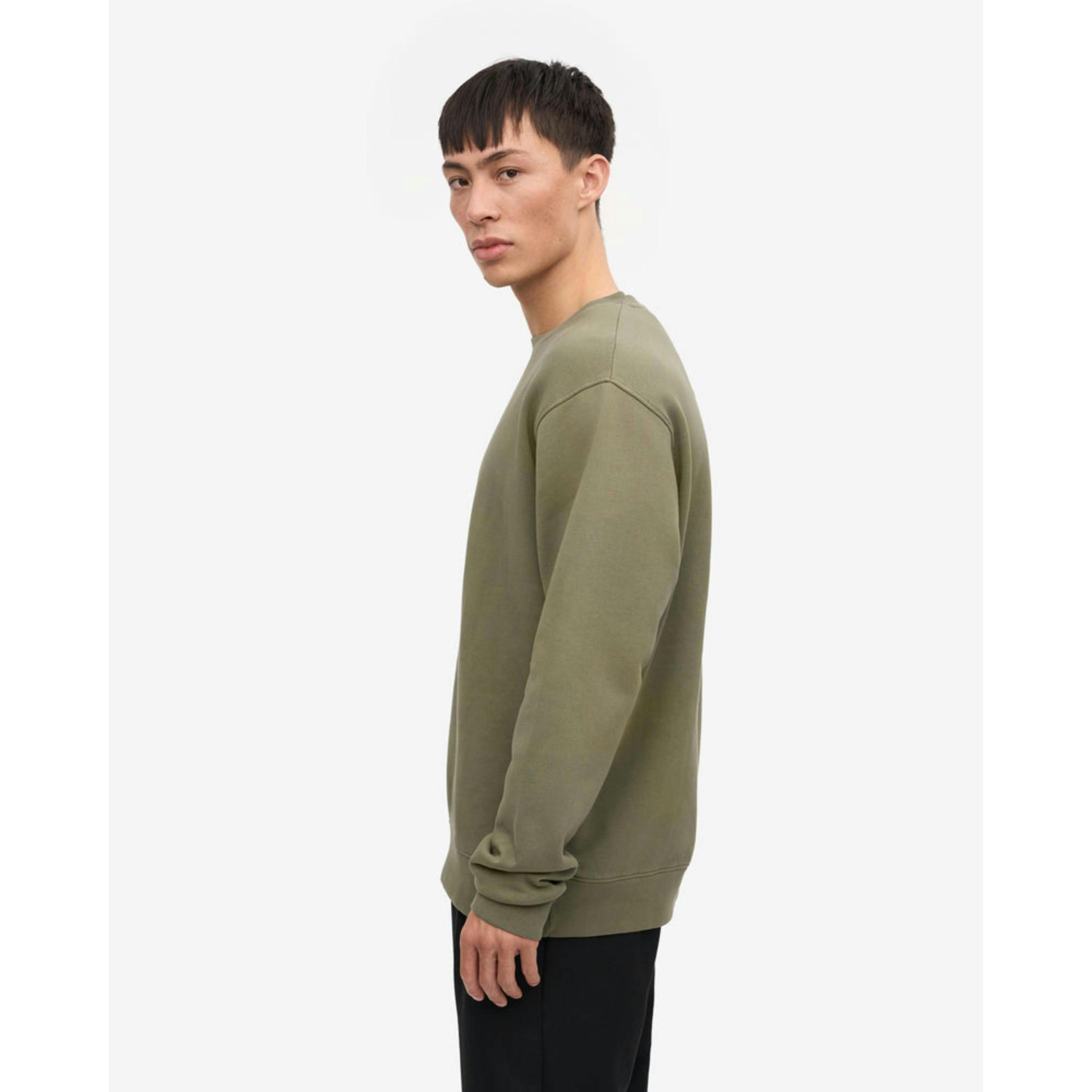 Colourful Standard Sweatshirt  in Green , view 3 of 6