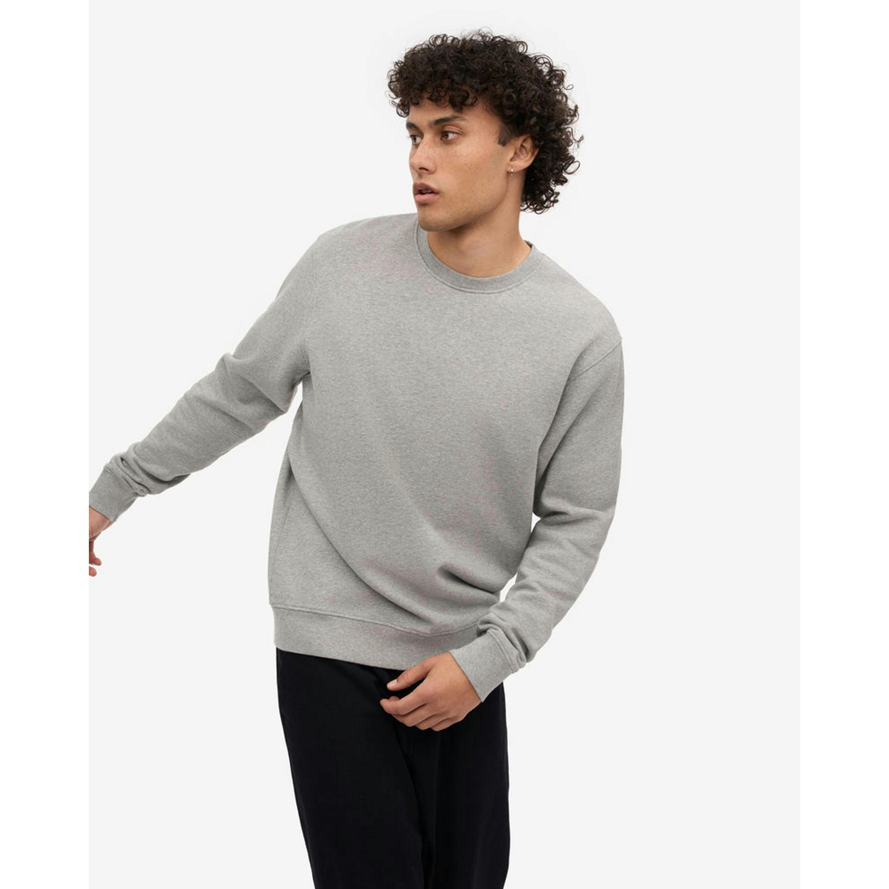 Colourful Standard Sweatshirt  in Grey , view 3 of 5