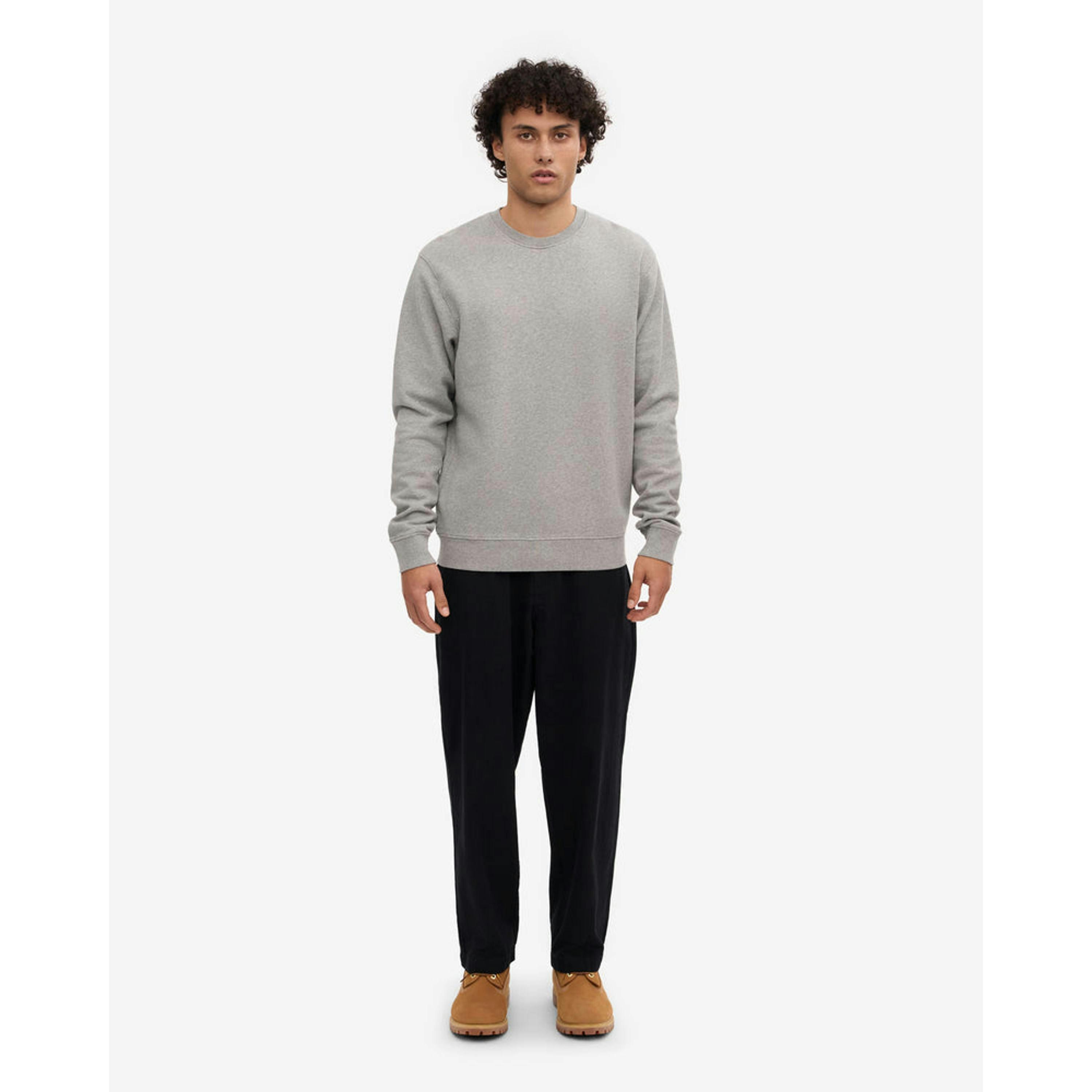Colourful Standard Sweatshirt  in Grey , view 4 of 5