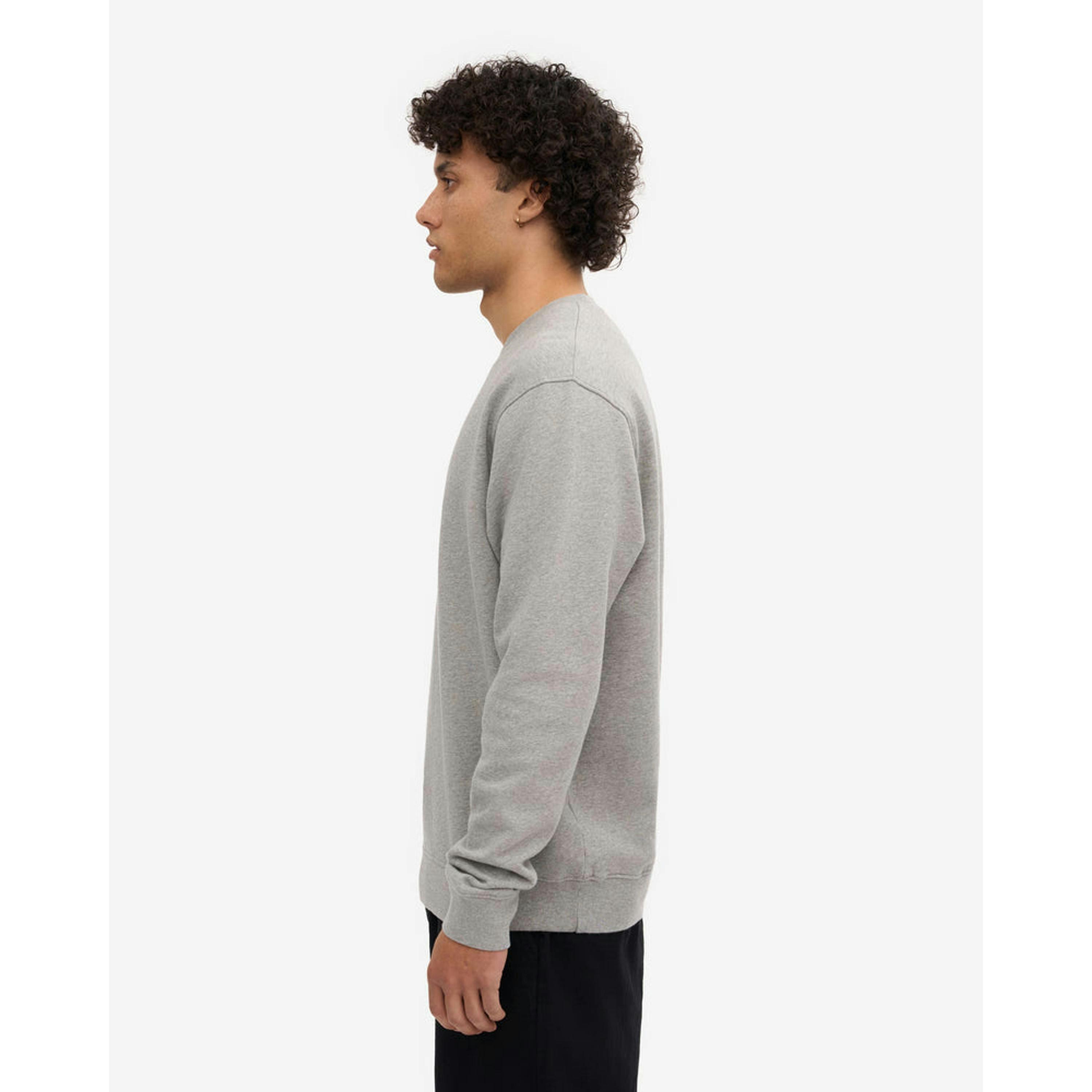 Colourful Standard Sweatshirt  in Grey , view 5 of 5