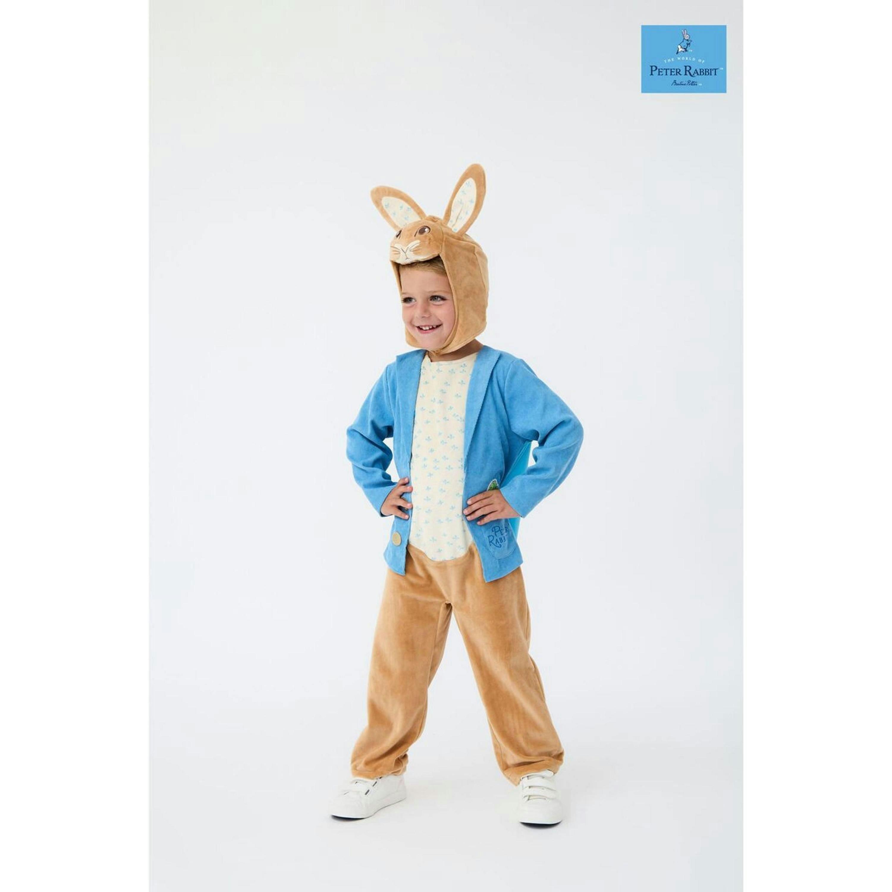 Peter Rabbit Boys Multicoloured 3D Headpiece 3 Piece Costume by Vanilla Underground , view 1 of 5