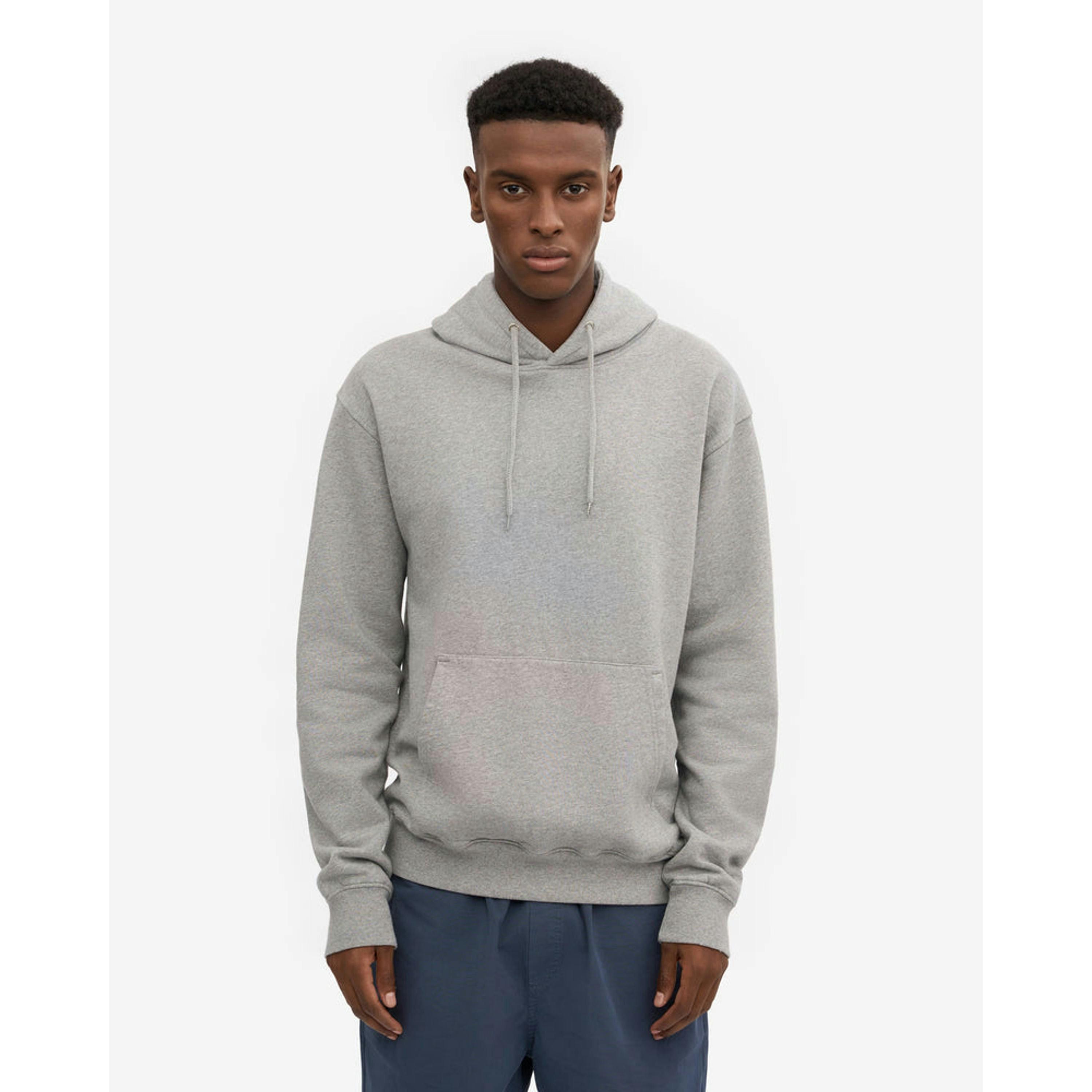 Colourful Standard Hoodie  in Grey , view 1 of 5
