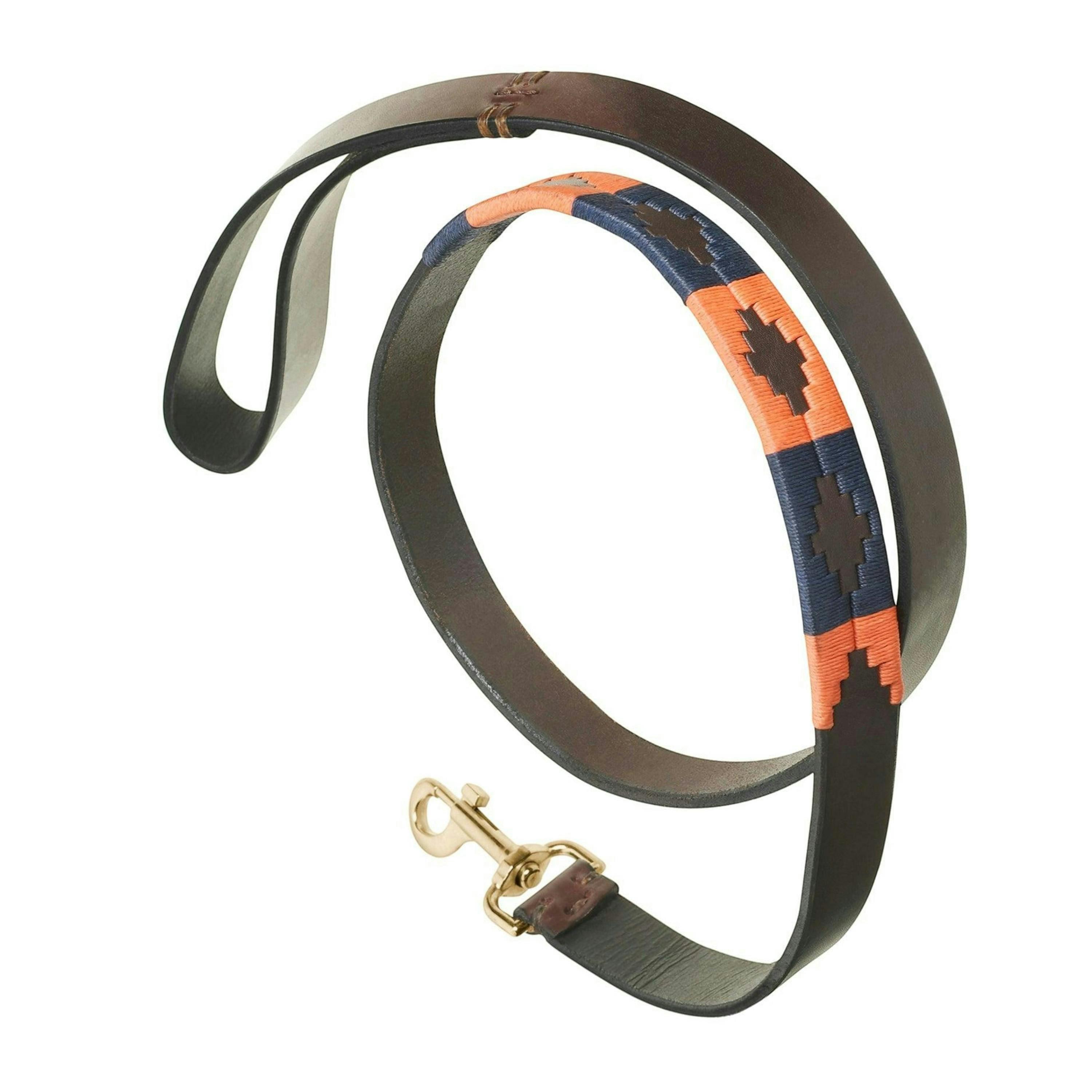 dog lead - Audaz , view 1 of 4