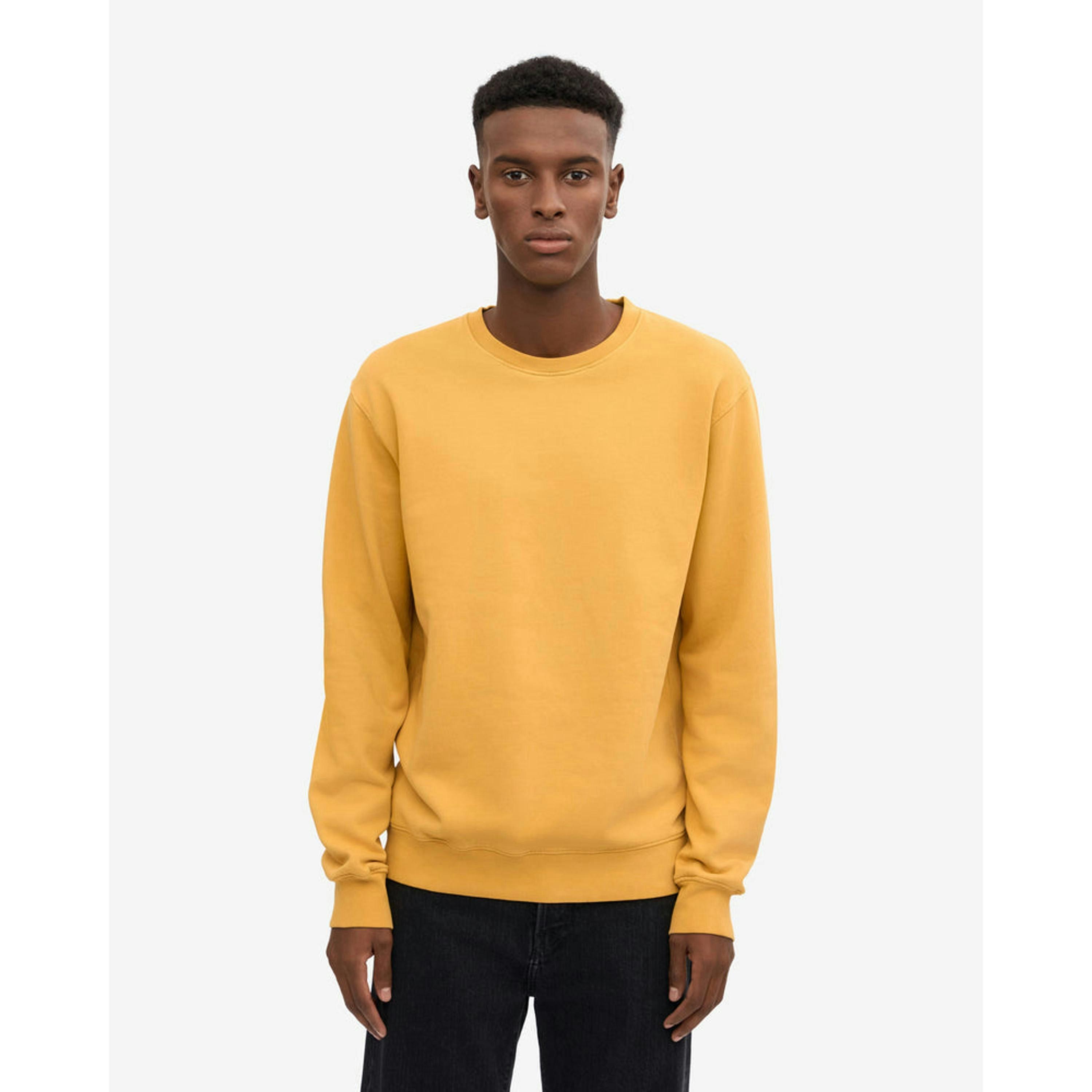 Colourful Standard Sweatshirt  in Gold , view 1 of 5