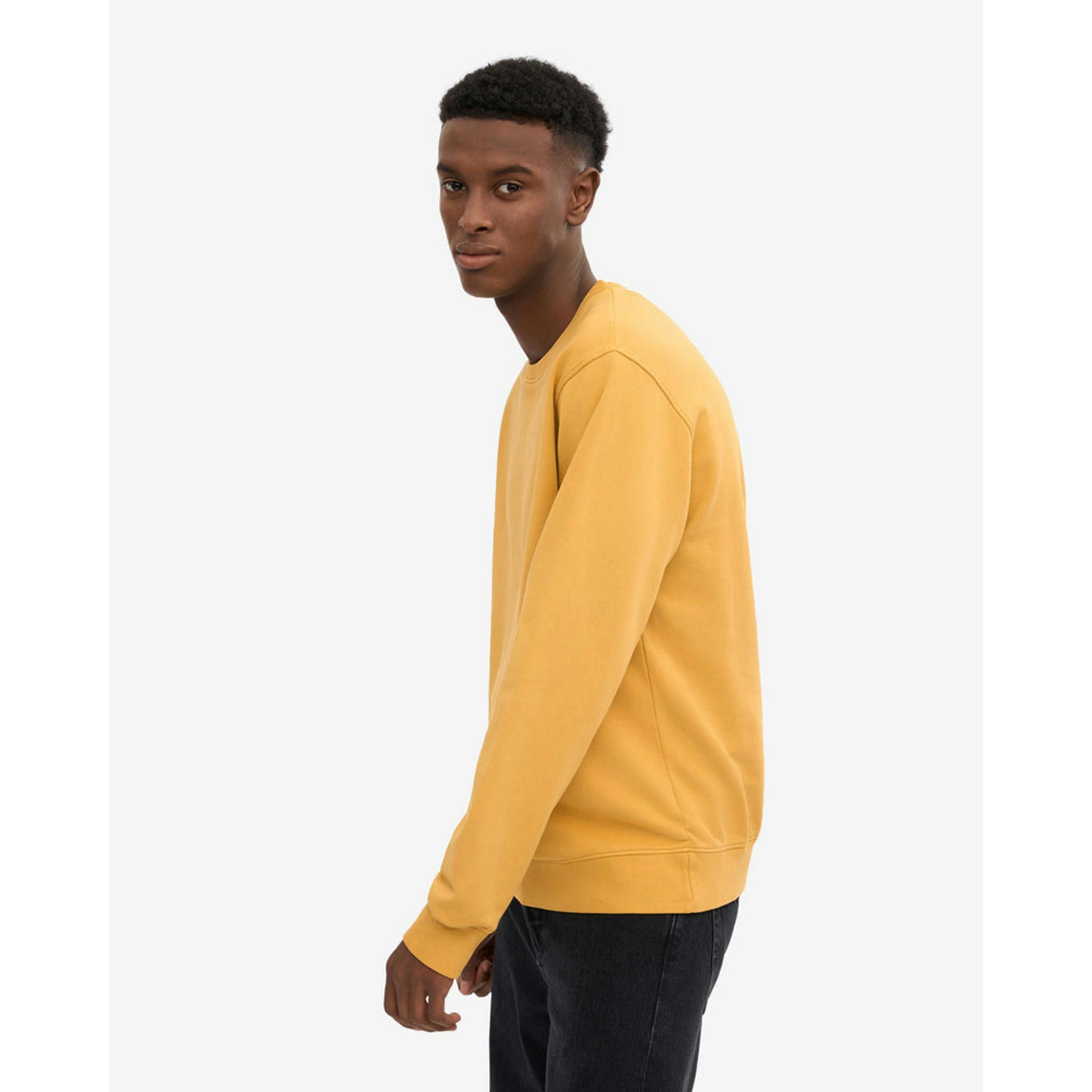 Colourful Standard Sweatshirt  in Gold , view 3 of 5