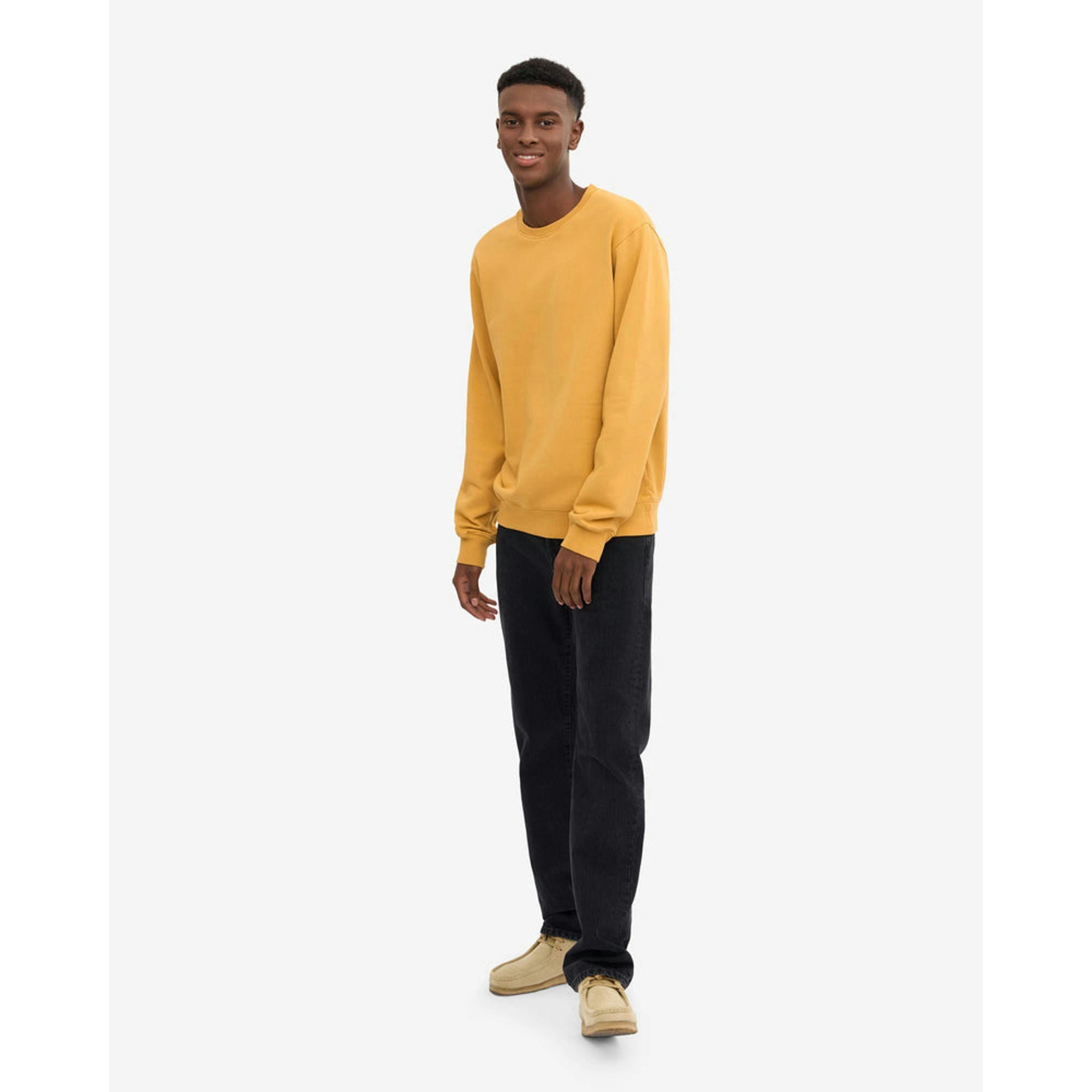 Colourful Standard Sweatshirt  in Gold , view 4 of 5