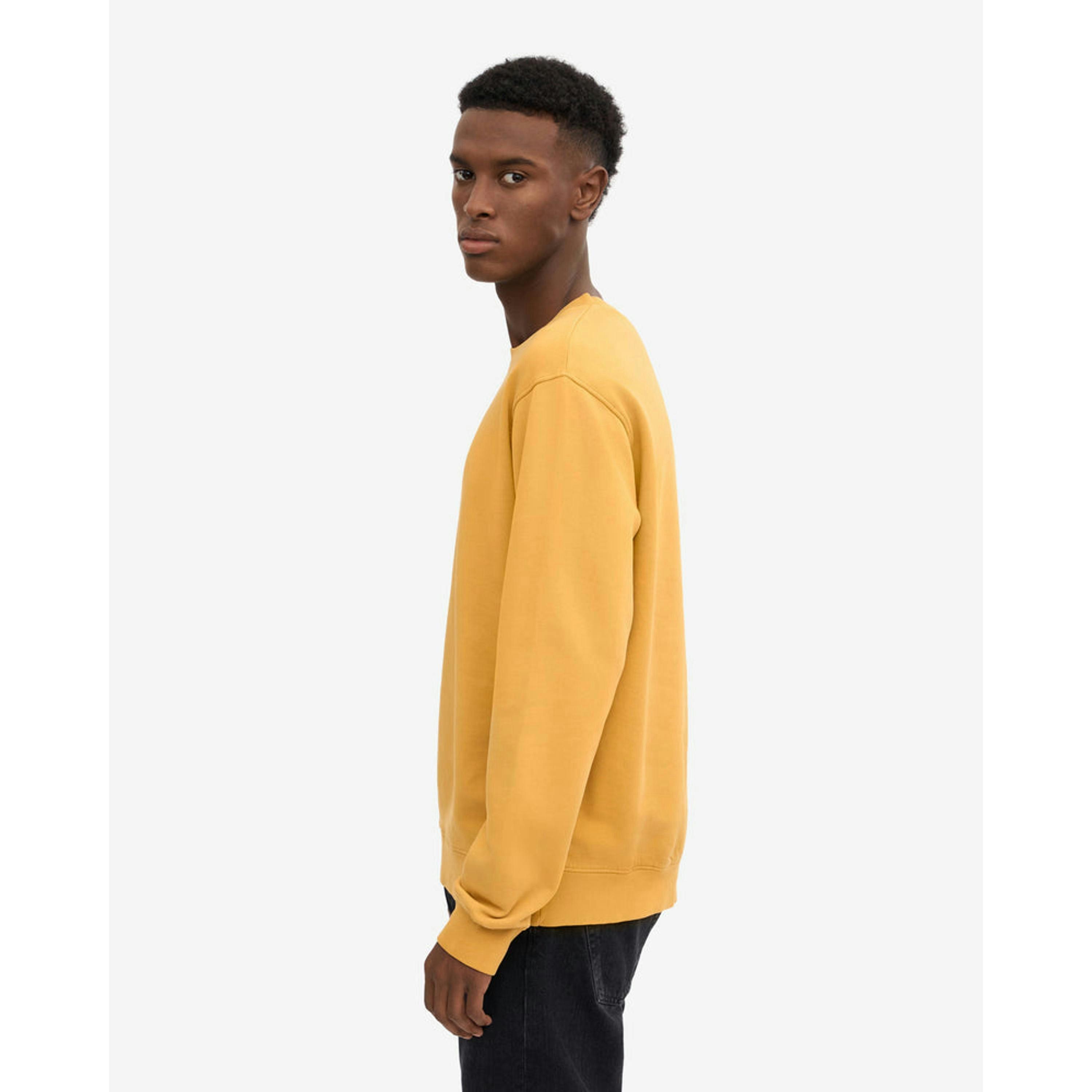 Colourful Standard Sweatshirt  in Gold , view 5 of 5
