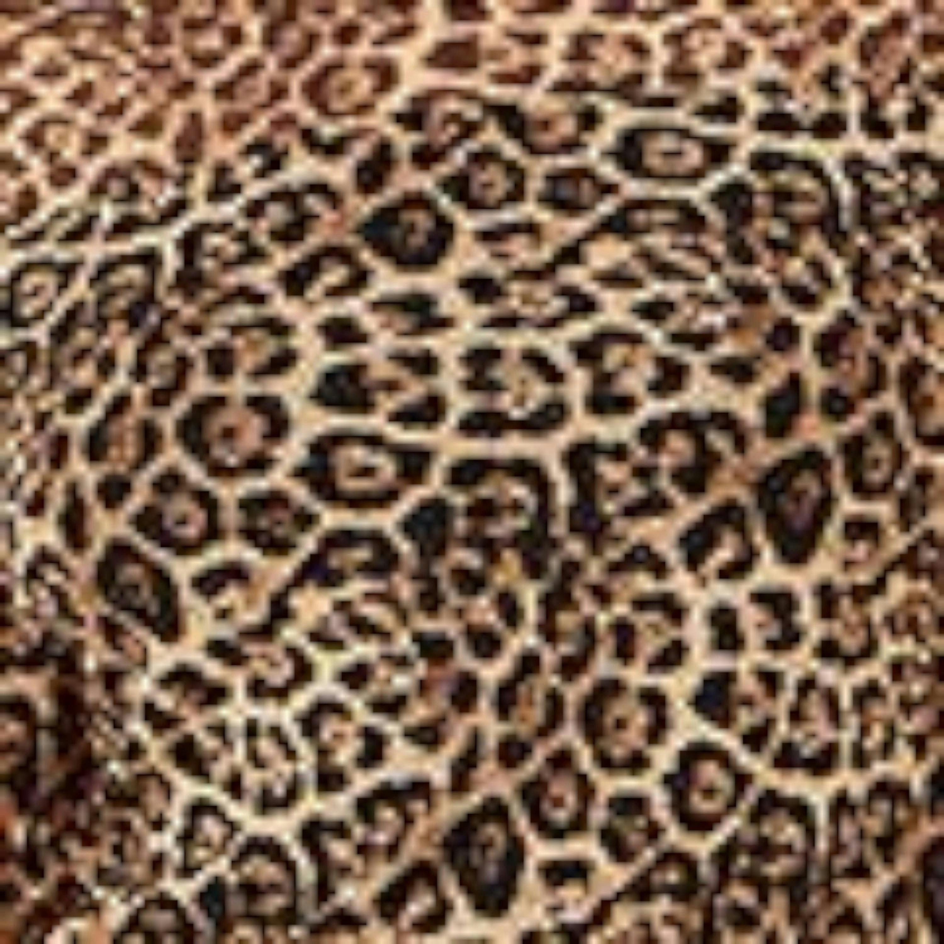 Yumi Brown Leopard Print Mesh Stretch Fitted Top , view 6 of 6