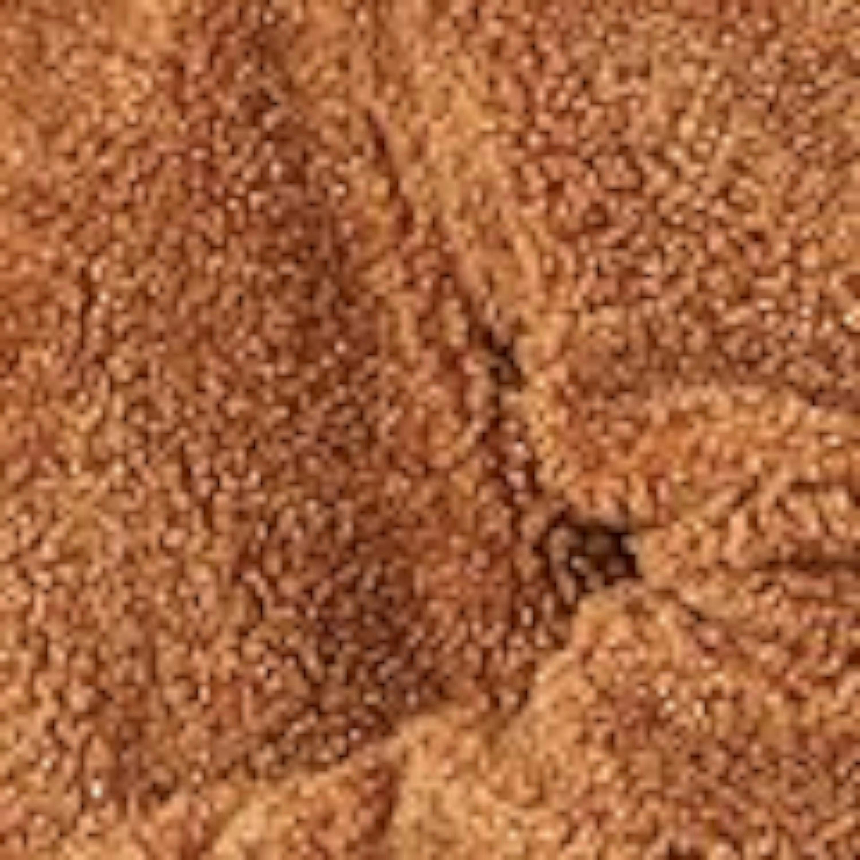 Yumi Brown Short Teddy Bear Jacket , view 6 of 6