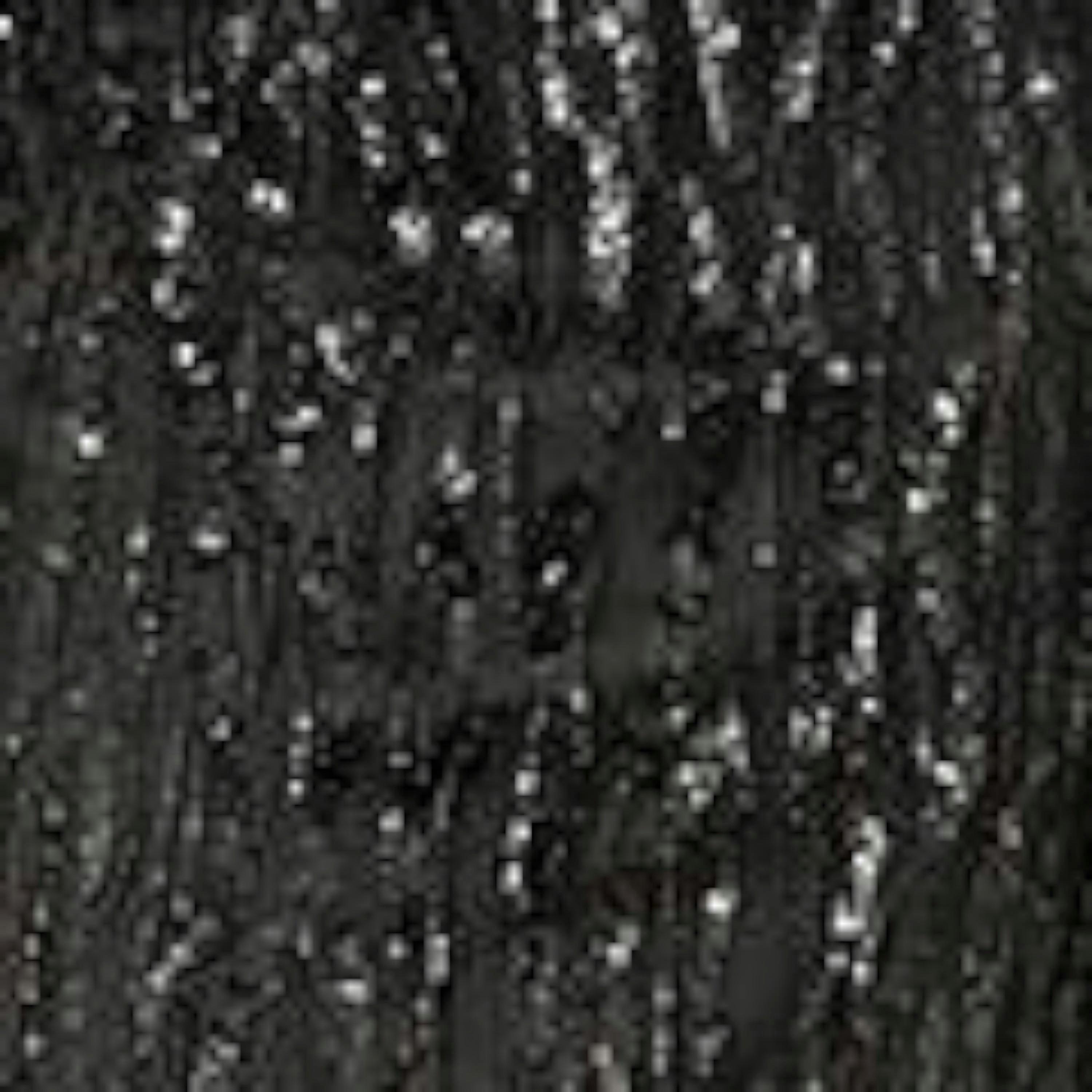 Yumi Black Hanging Sequin Fitted Midi Skirt , view 5 of 5