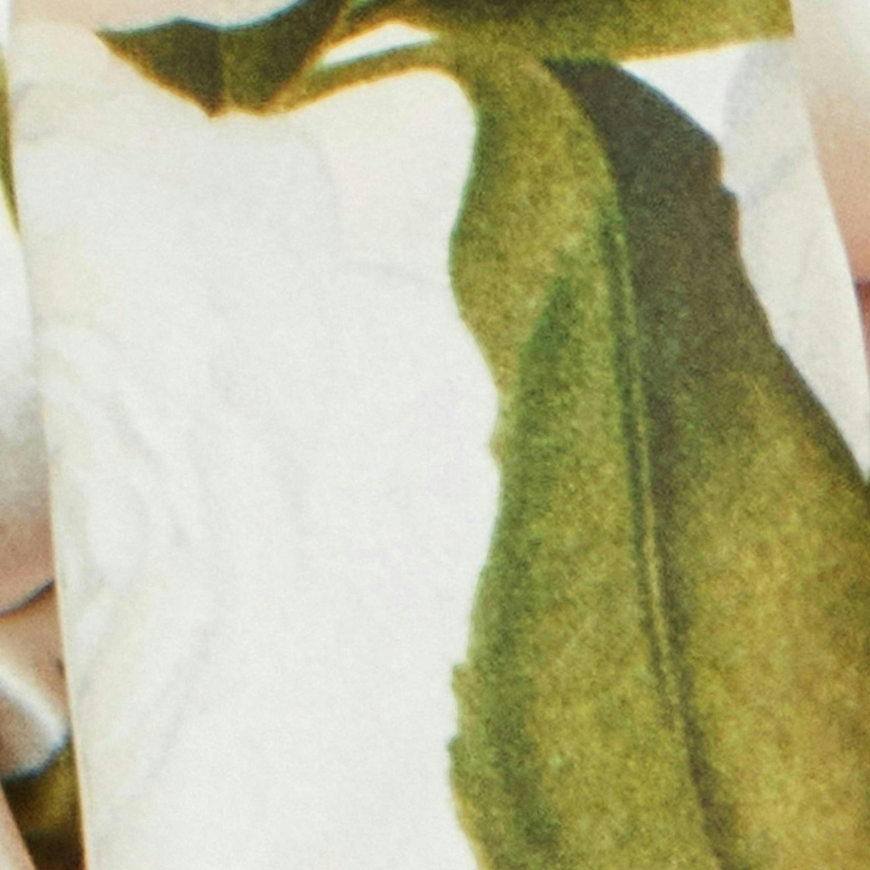 Yumi Ivory100% Silk Botanical Rose Print Scarf , view 3 of 3