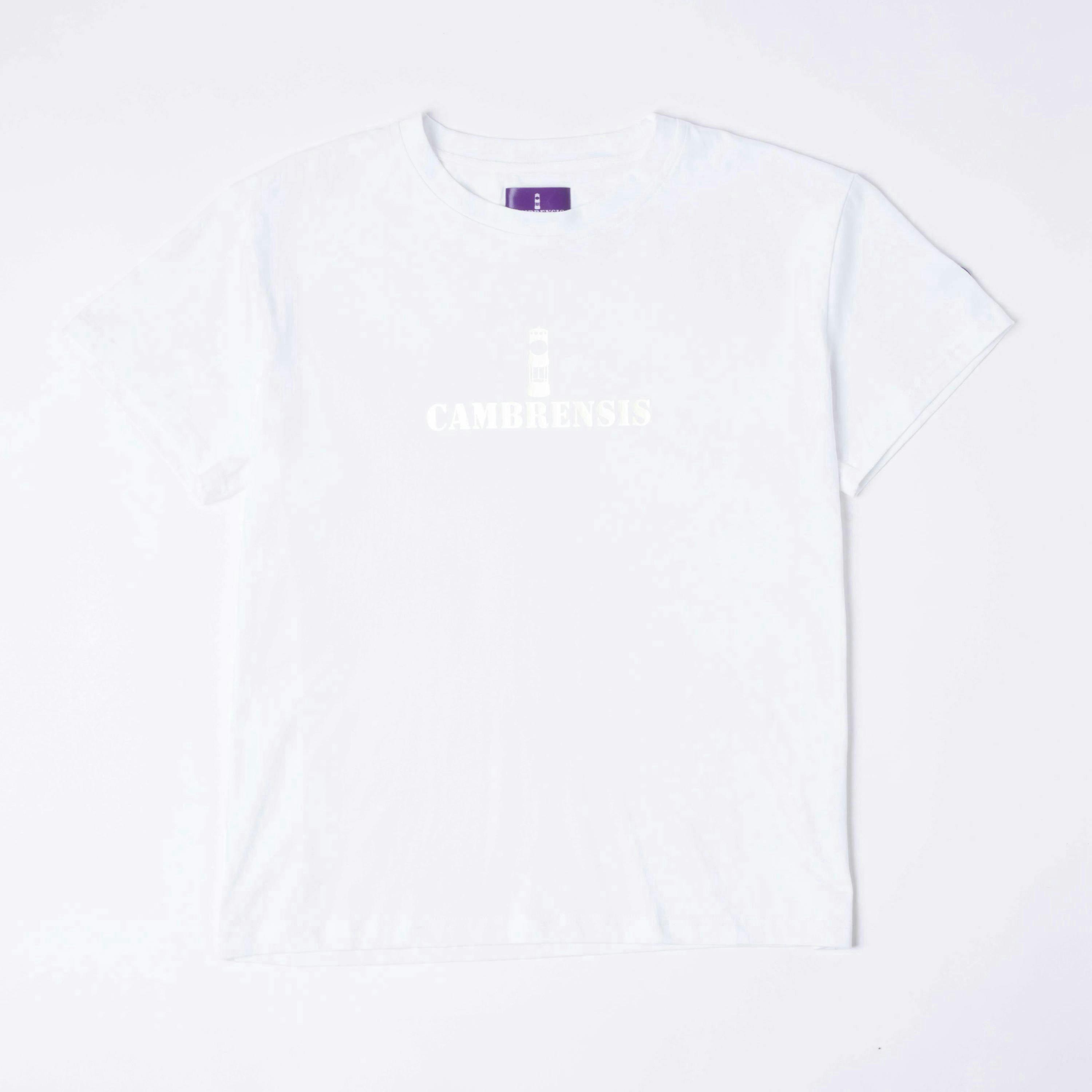 Merthyr Vale T-shirt in Snow White , view 1 of 4