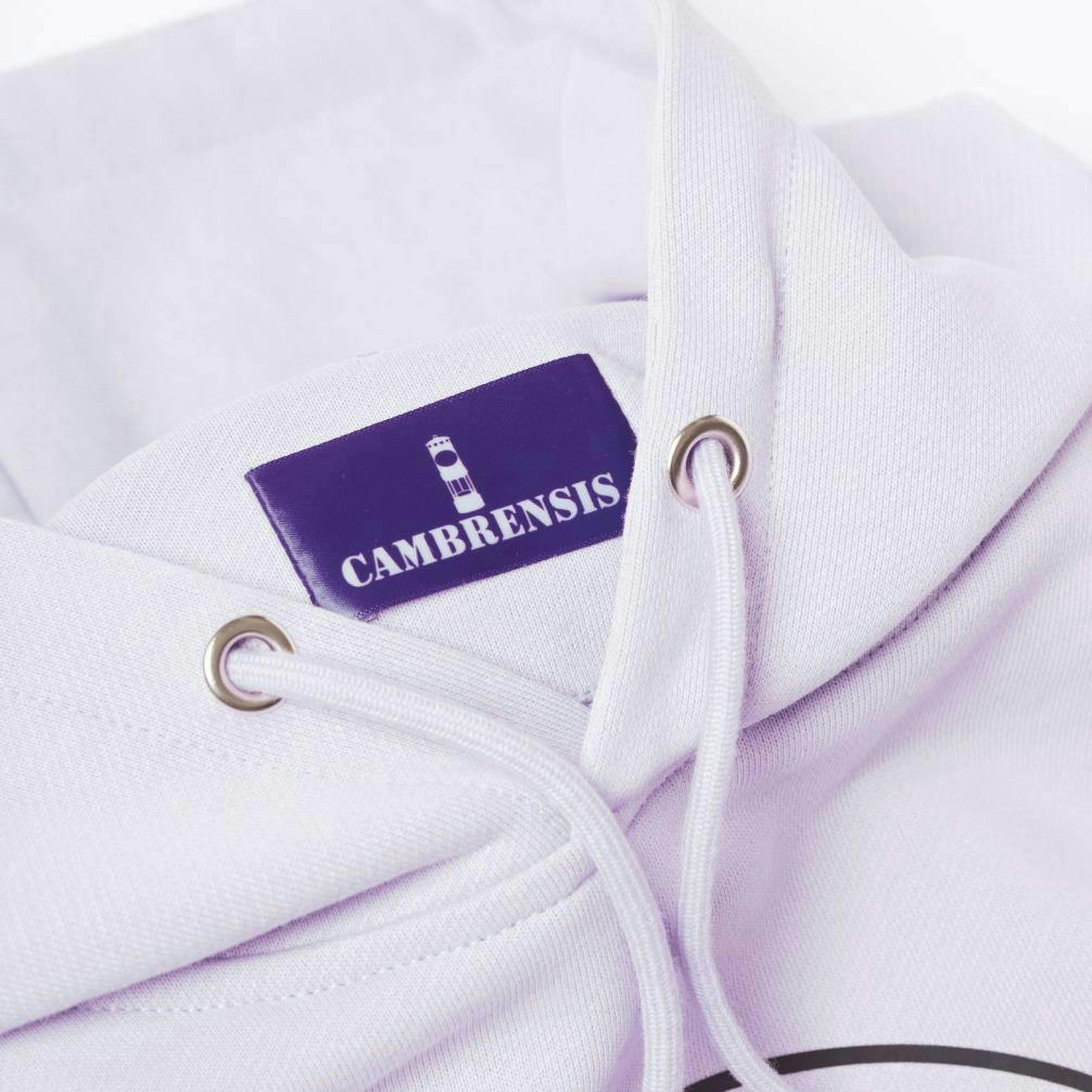 Dowlais Hoodie in Lanquid Lavender , view 3 of 6