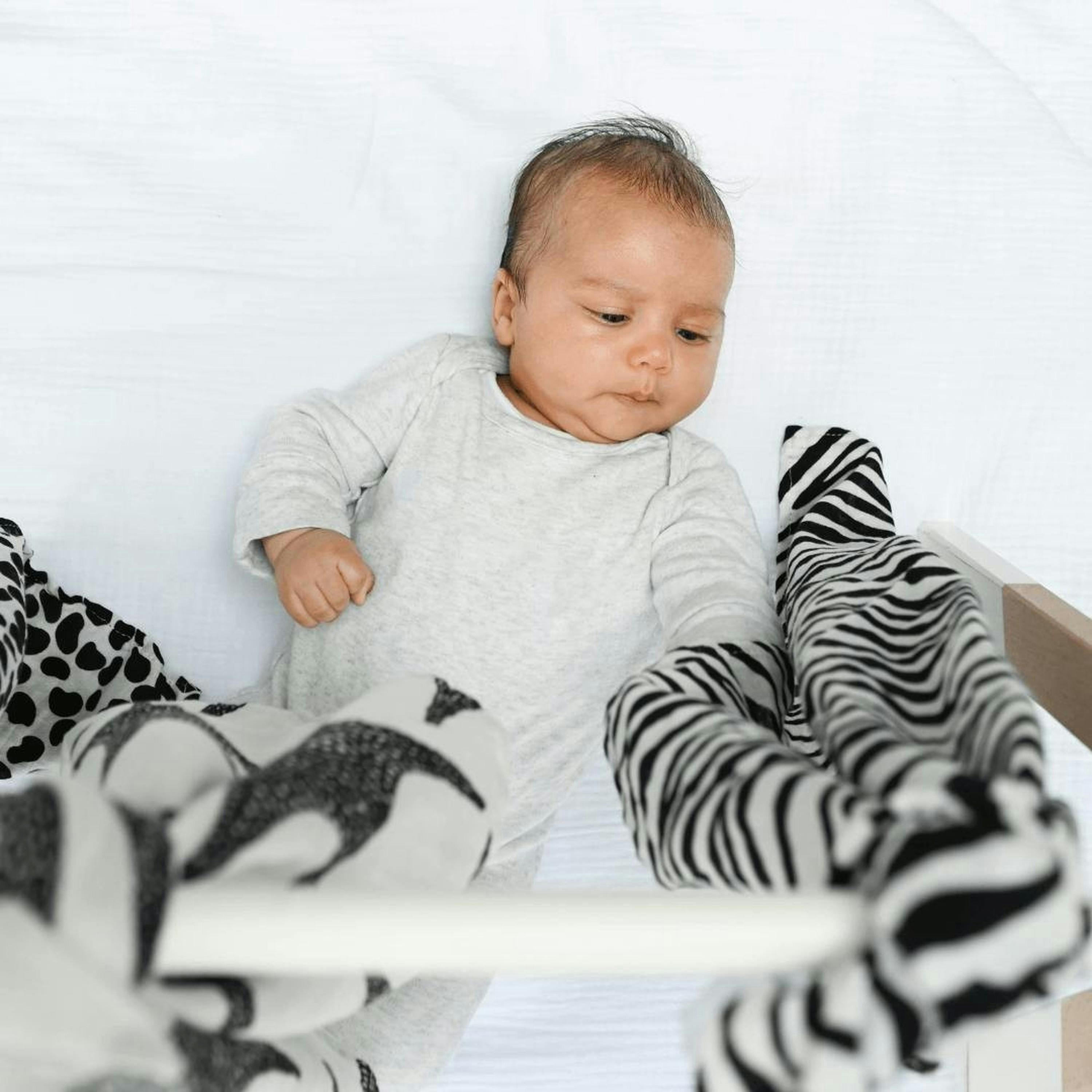 ANIMAL PRINT MUSLIN 3-PACK - birth to 4 months , view 3 of 6