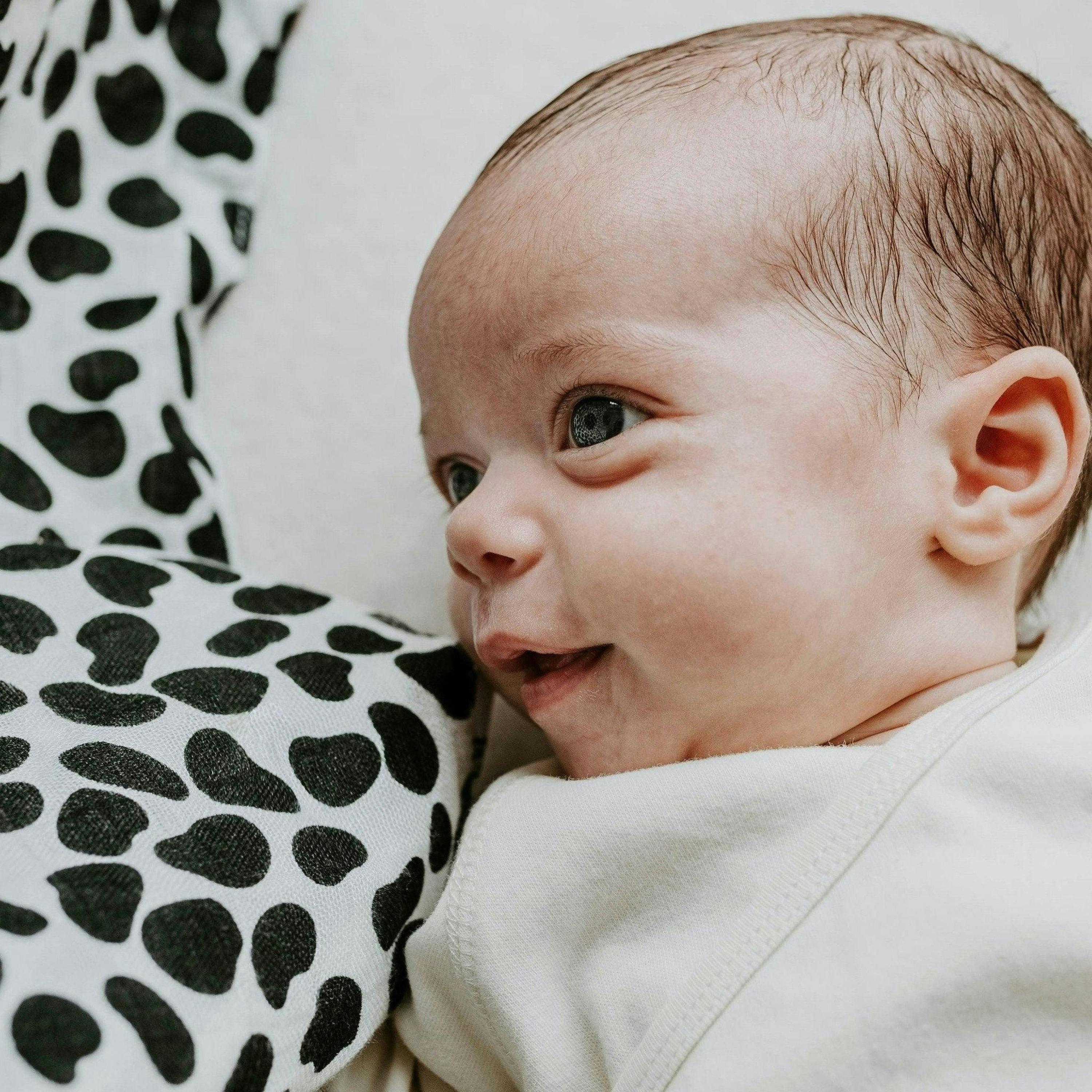 ANIMAL PRINT MUSLIN 3-PACK - birth to 4 months , view 5 of 6