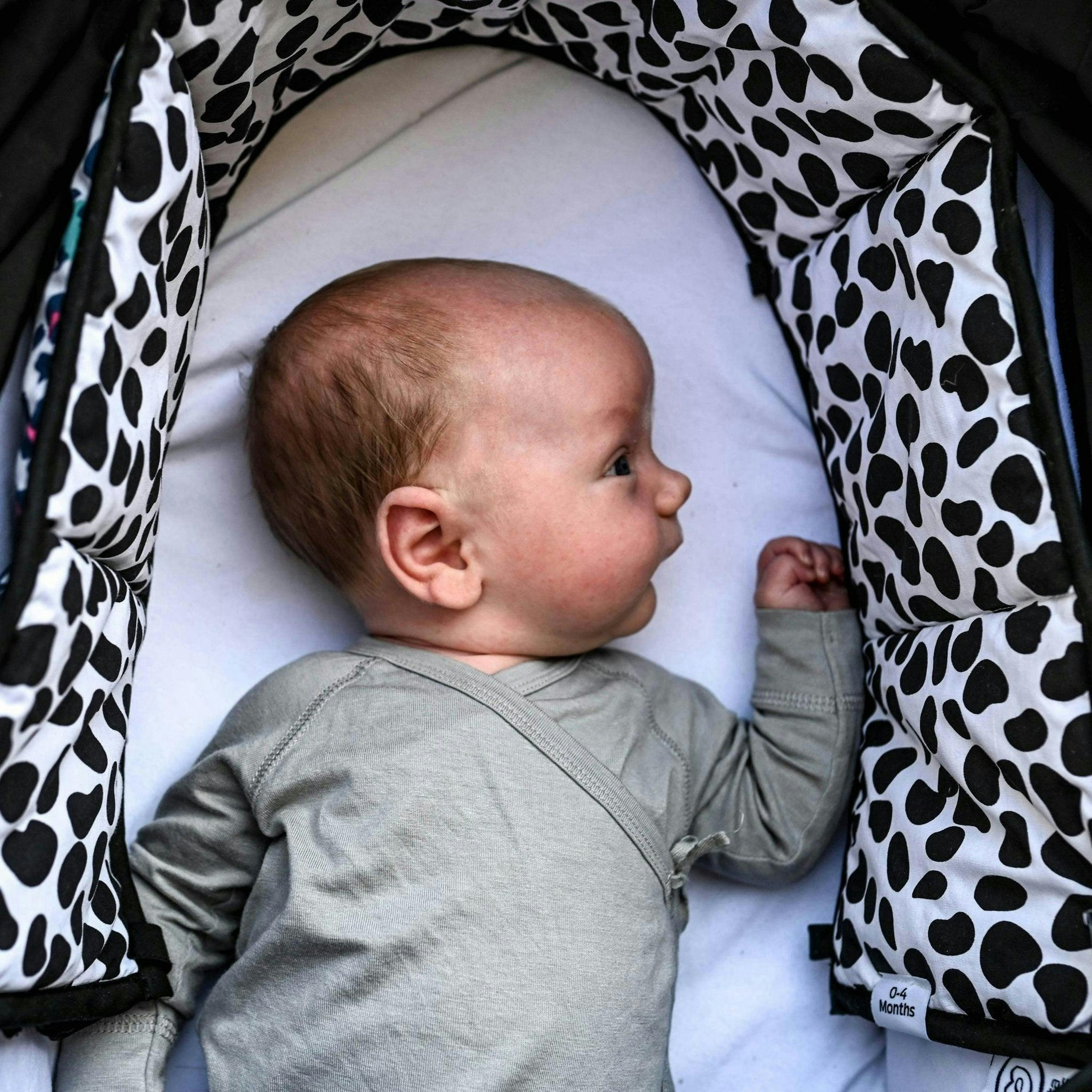 ANIMAL PRINT SENSORY STRIP - reversible - birth to 12 months , view 5 of 6
