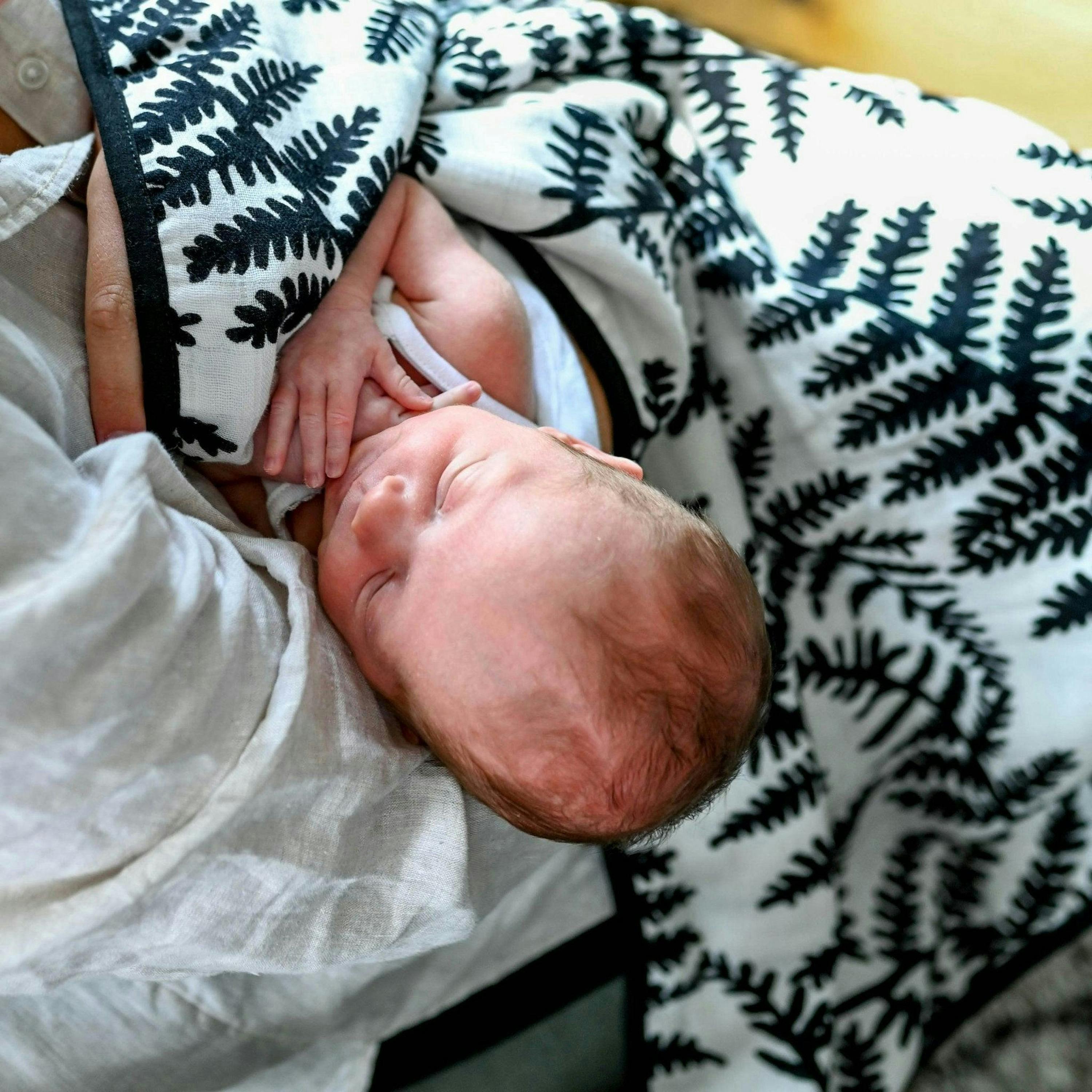 PLANT PRINT MUSLIN BLANKET - reversible - birth to 12 months , view 2 of 5