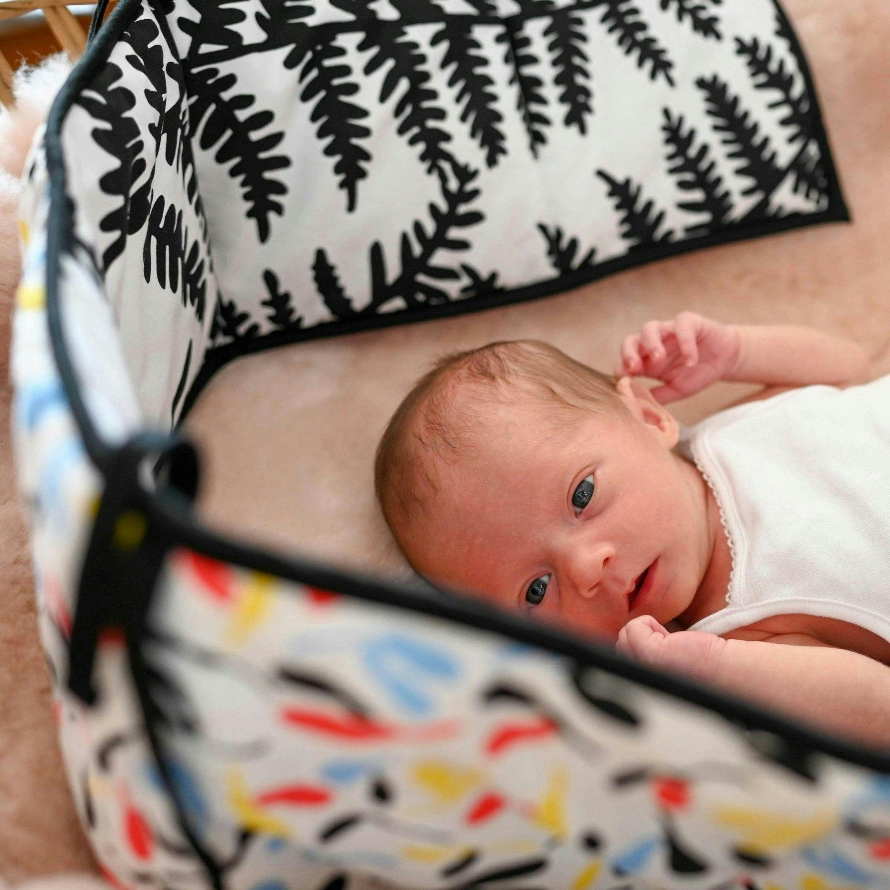 PLANT PRINT SENSORY STRIP - reversible - birth to 12 months , view 2 of 6