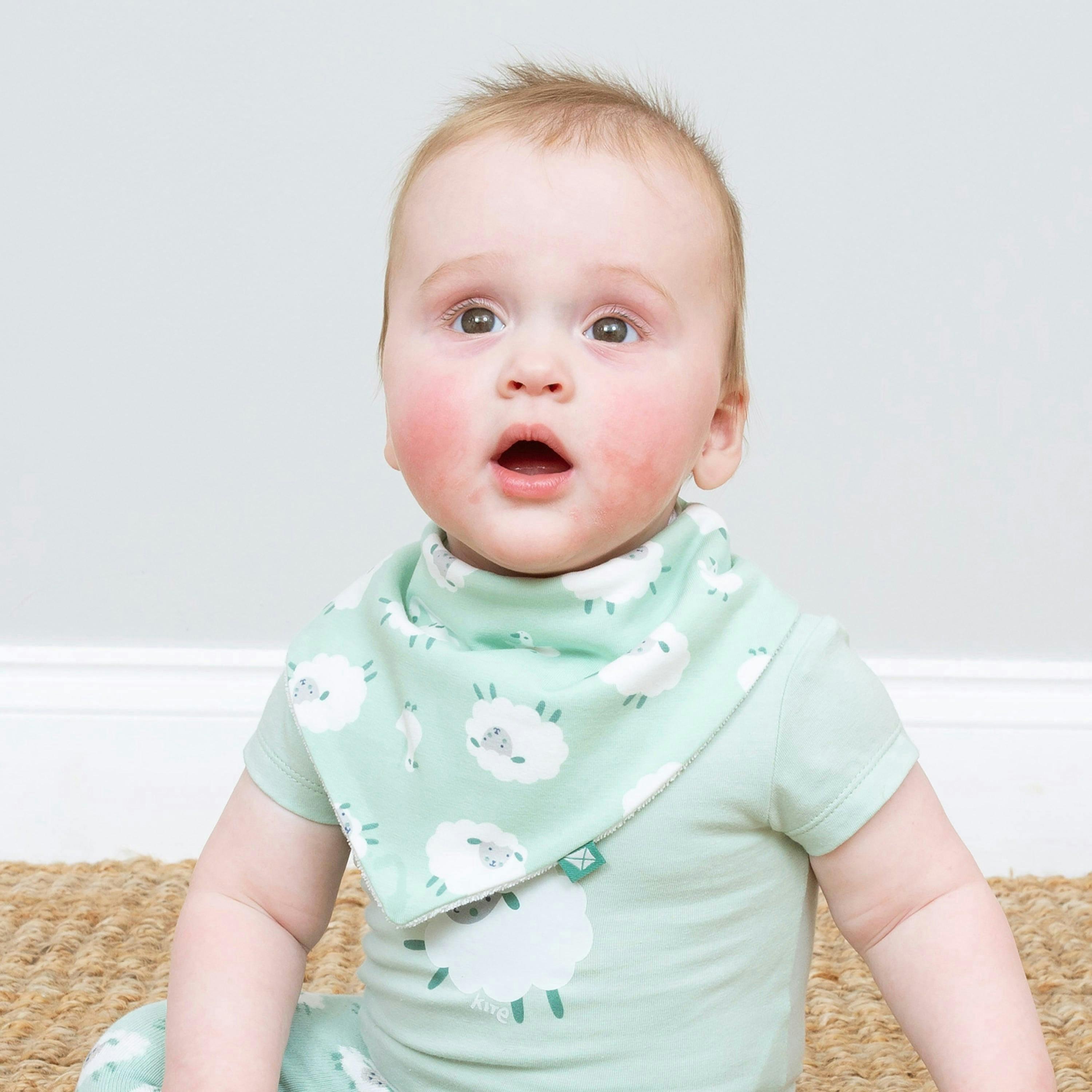 Baby Organic Baa Baa Quack Bib , view 2 of 2