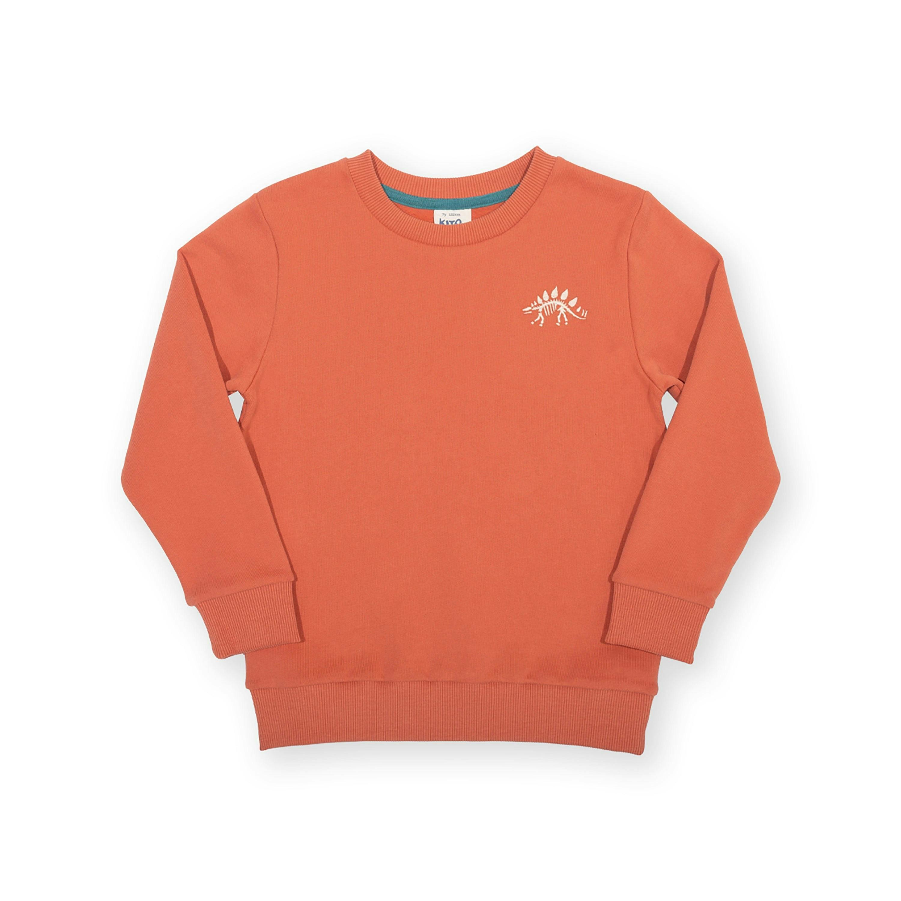 Kids Dino Discovery Organic Sweatshirt , view 1 of 3