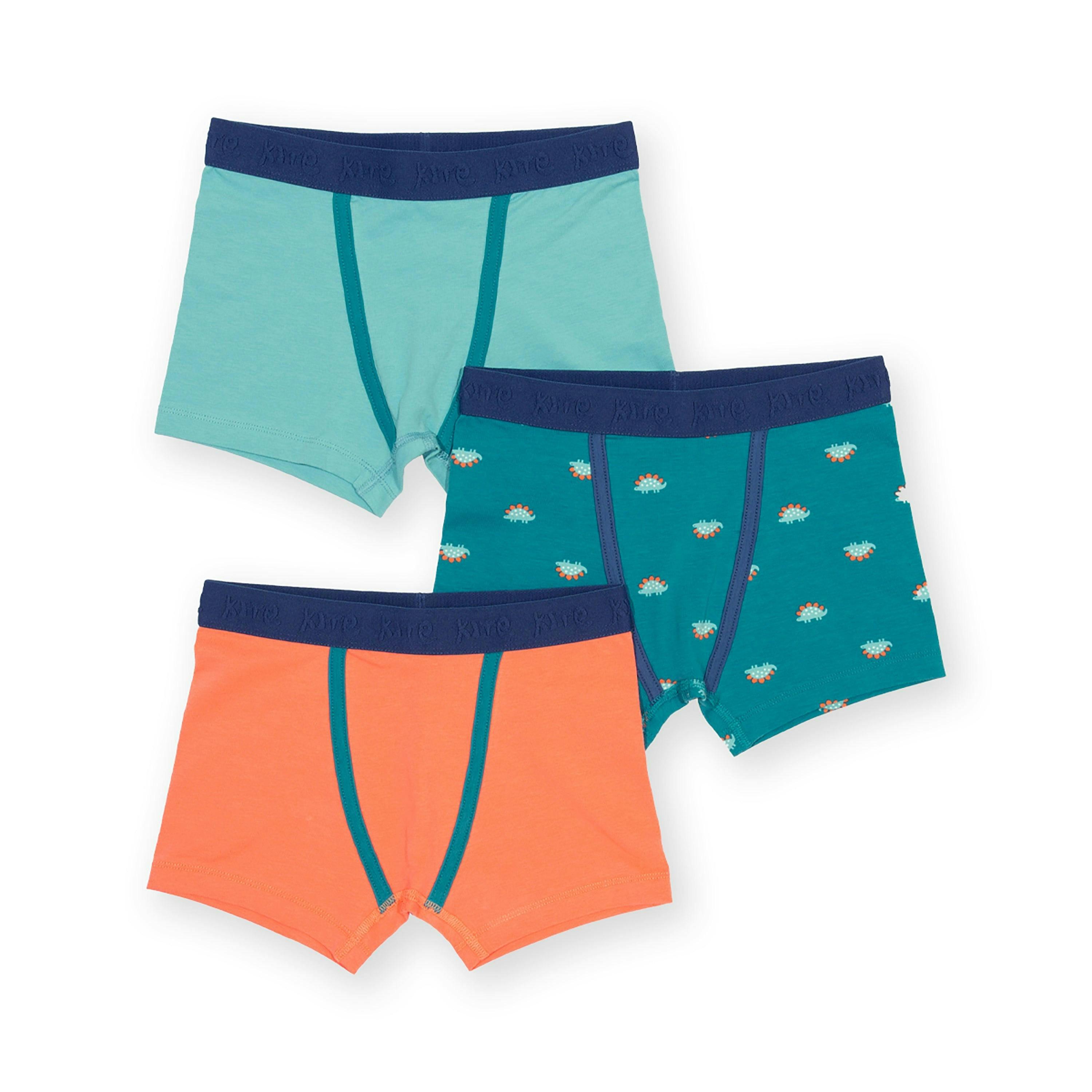Kids Steggie Dot Organic Trunks , view 1 of 1