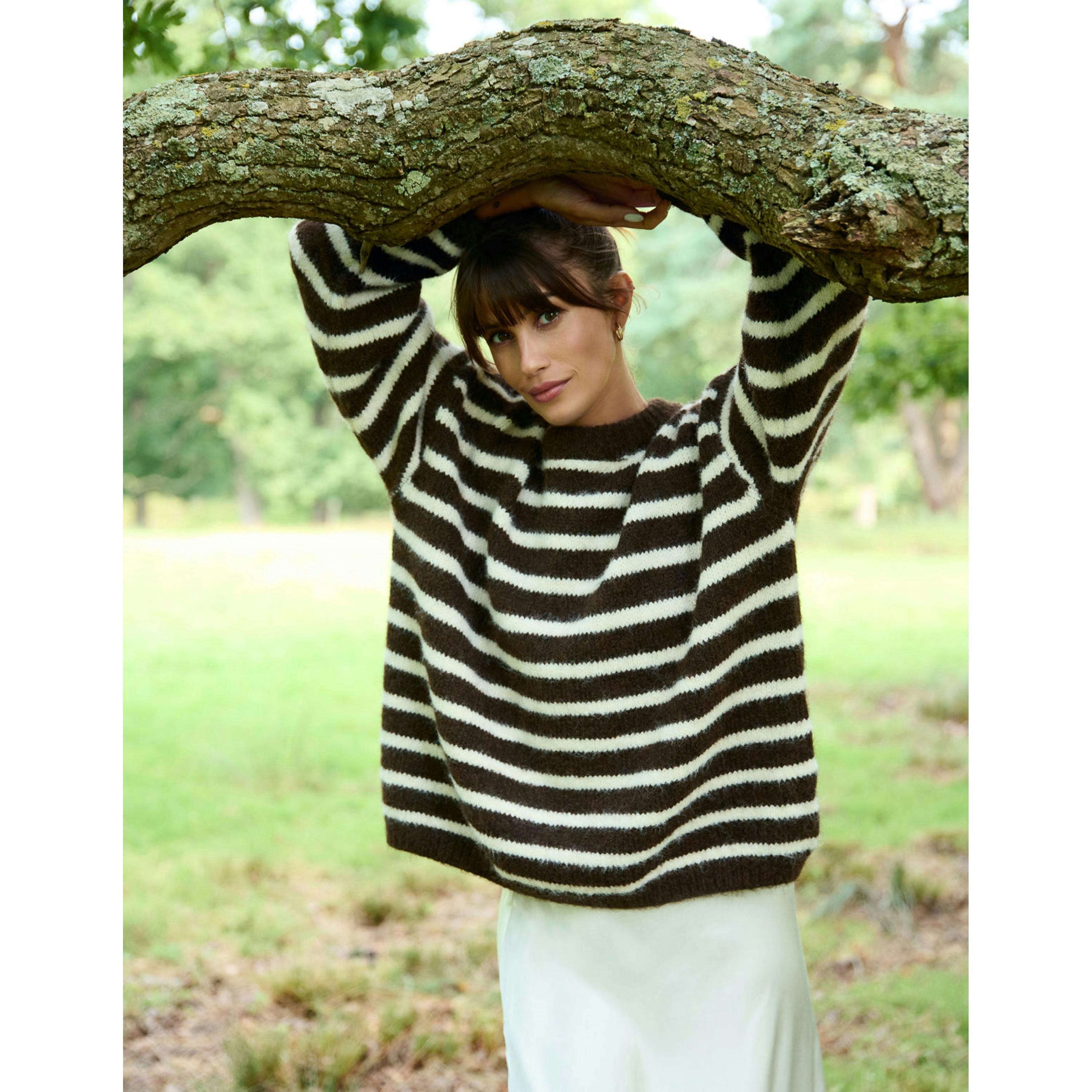 Blue Vanilla Soft Knit Round Neck Stripe Jumper  in Brown , view 5 of 5