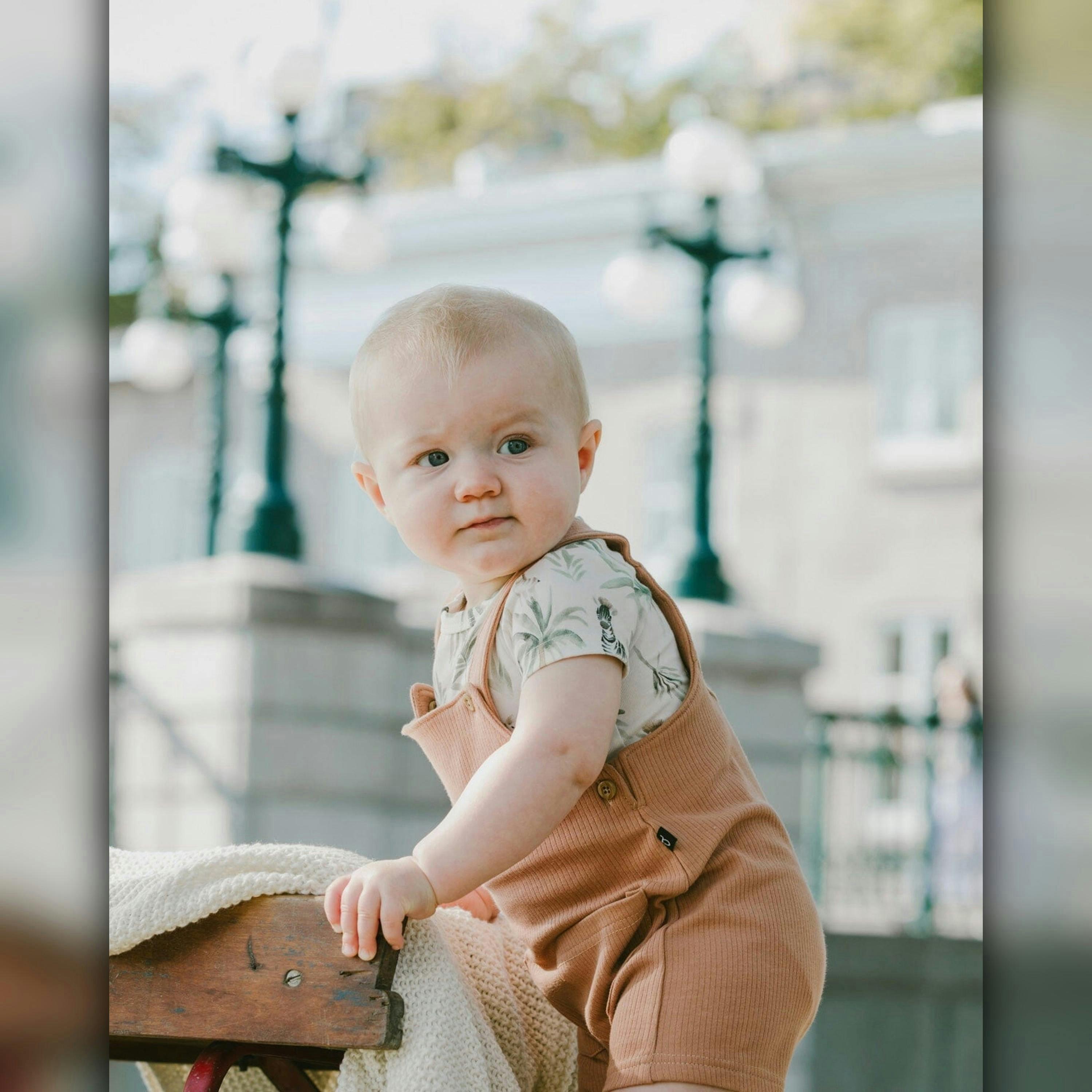 Organic Cotton Jersey Onesie and Cotton Rib Shortall Set Beige Zebra Print and Caramel , view 2 of 3