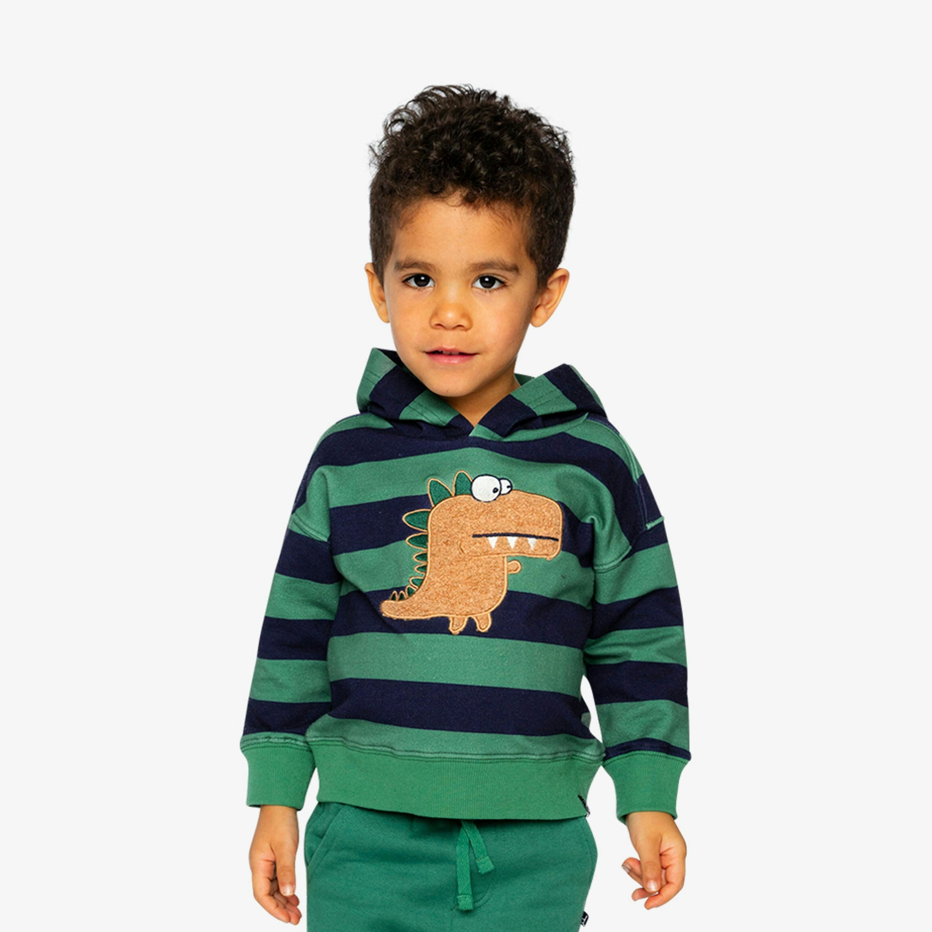 Fleece Hoodie With Applique Blue Striped Green , view 2 of 6