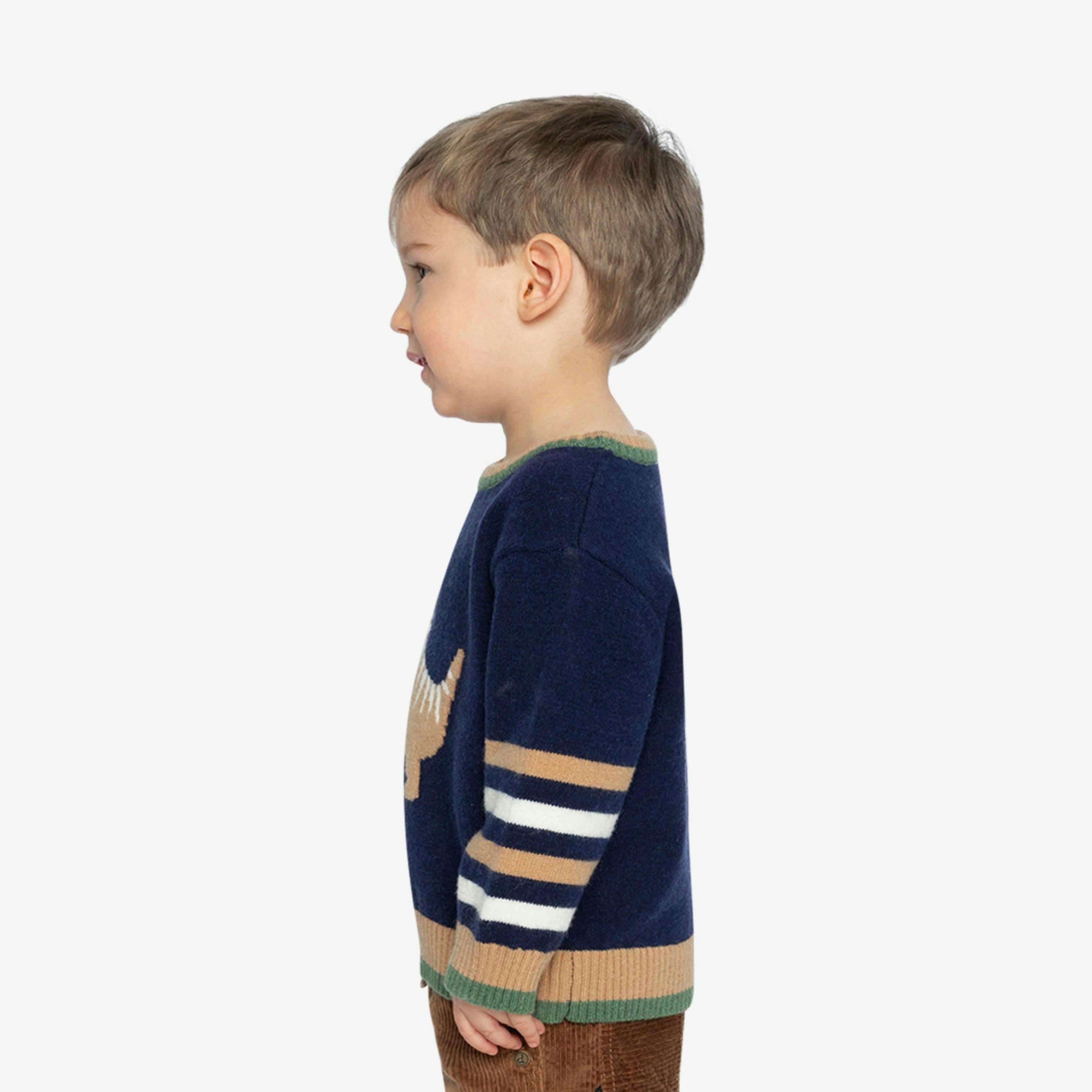 Knit Sweater With Intarsia Dark Blue, Brown And Beige , view 5 of 6