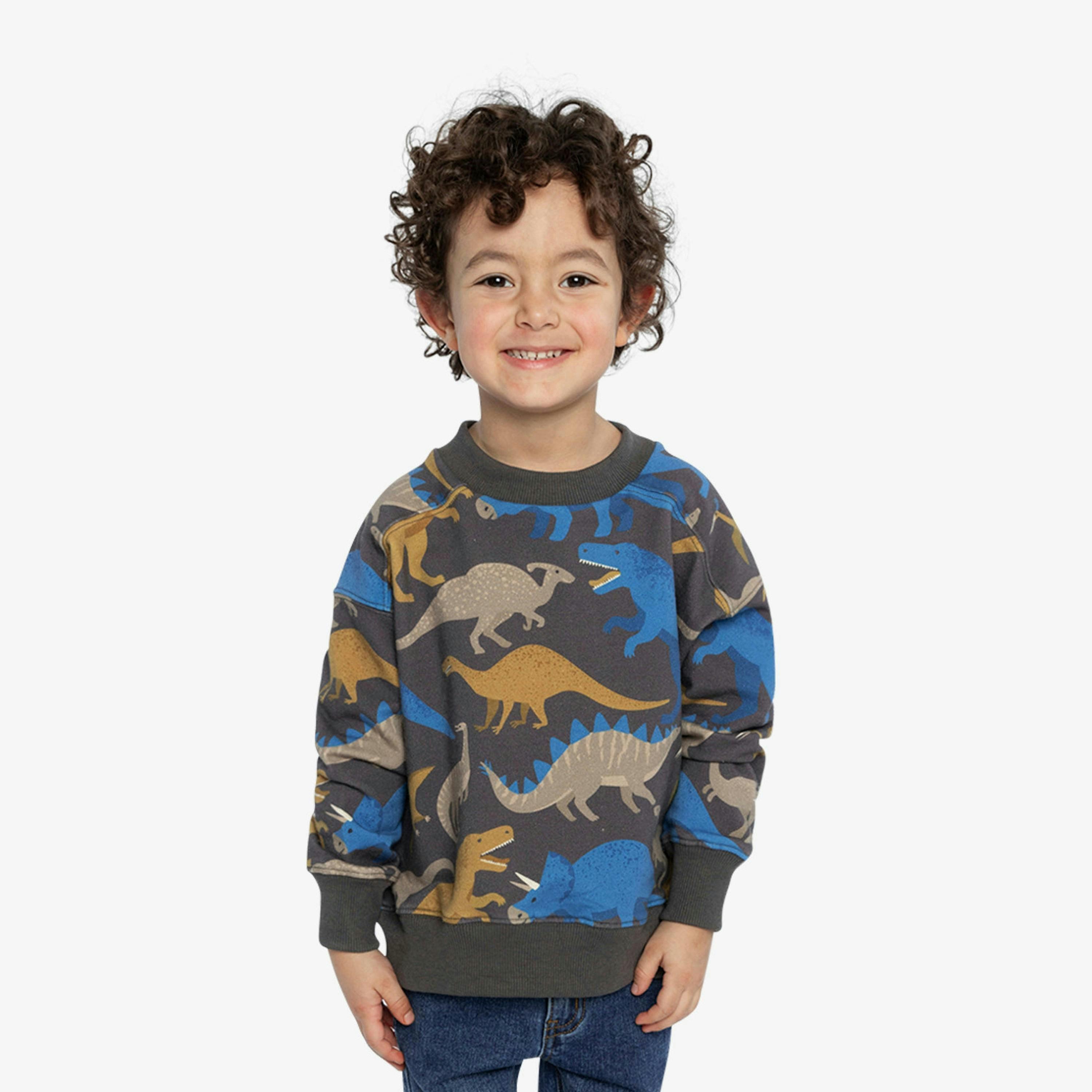 Fleece Sweatshirt Grey Dinosaur Print , view 2 of 6