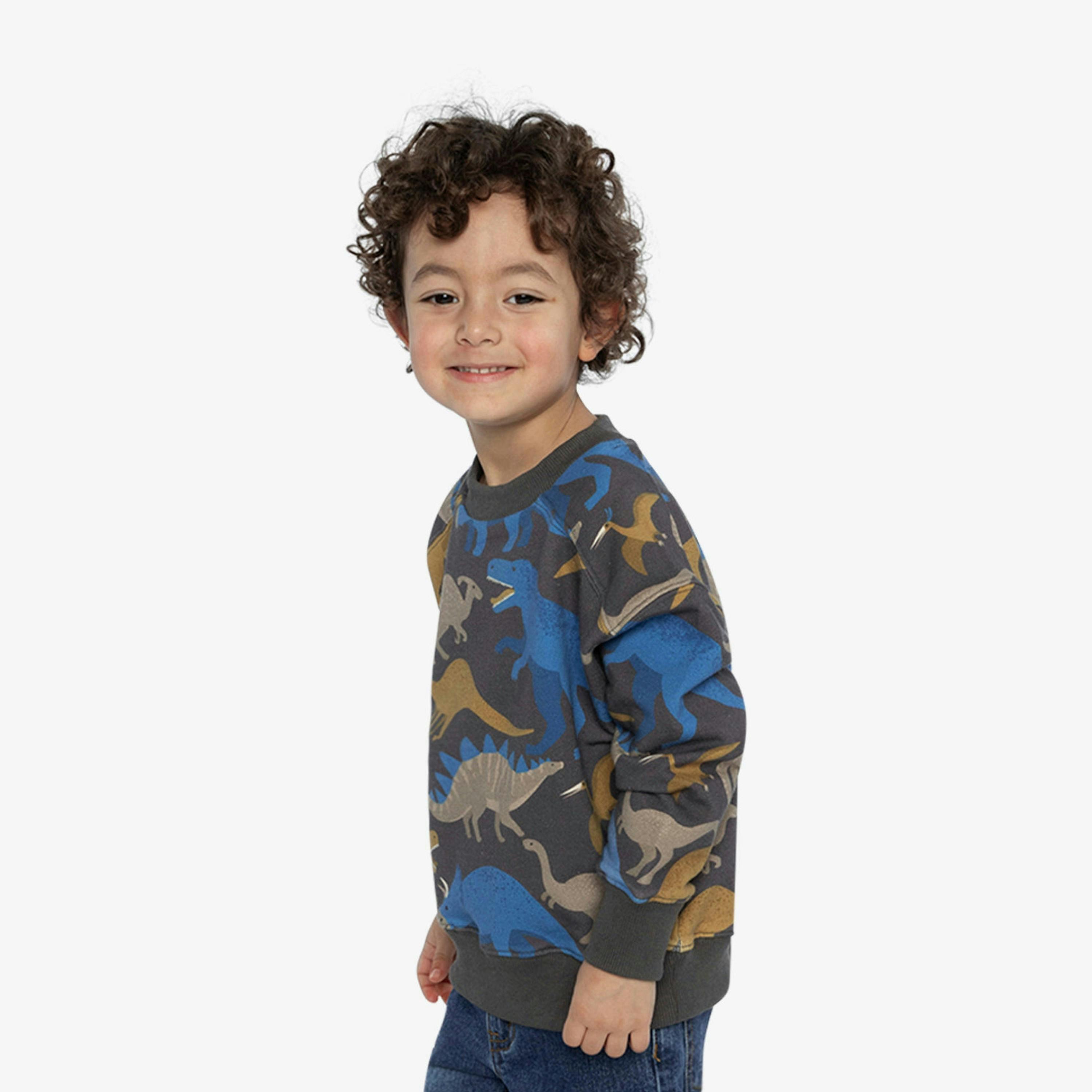 Fleece Sweatshirt Grey Dinosaur Print , view 3 of 6