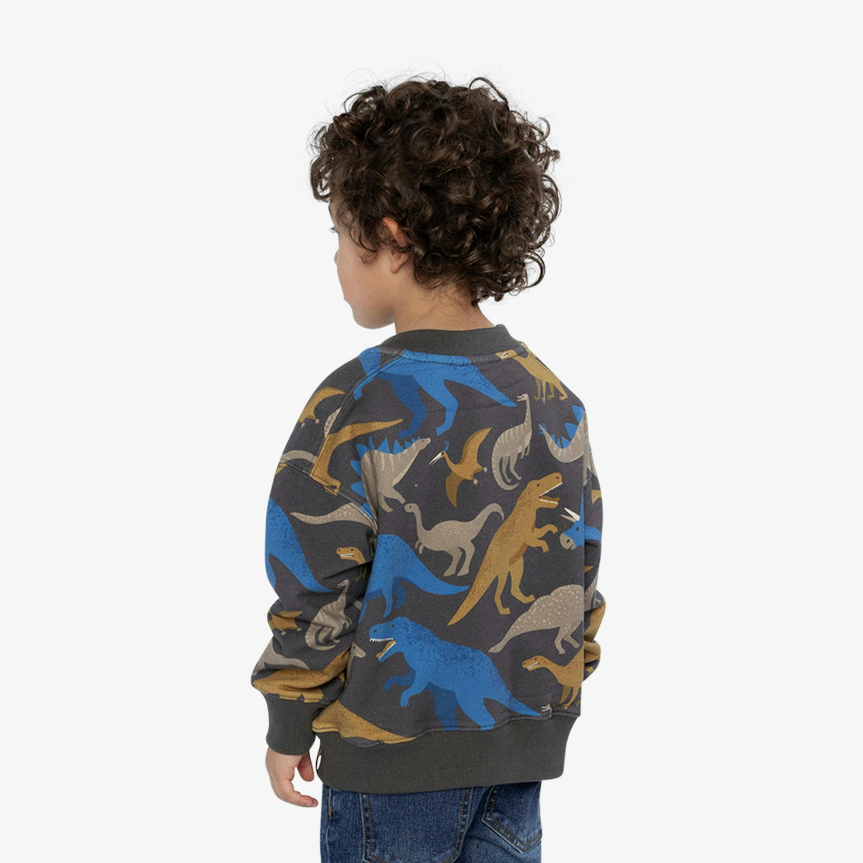 Fleece Sweatshirt Grey Dinosaur Print , view 4 of 6