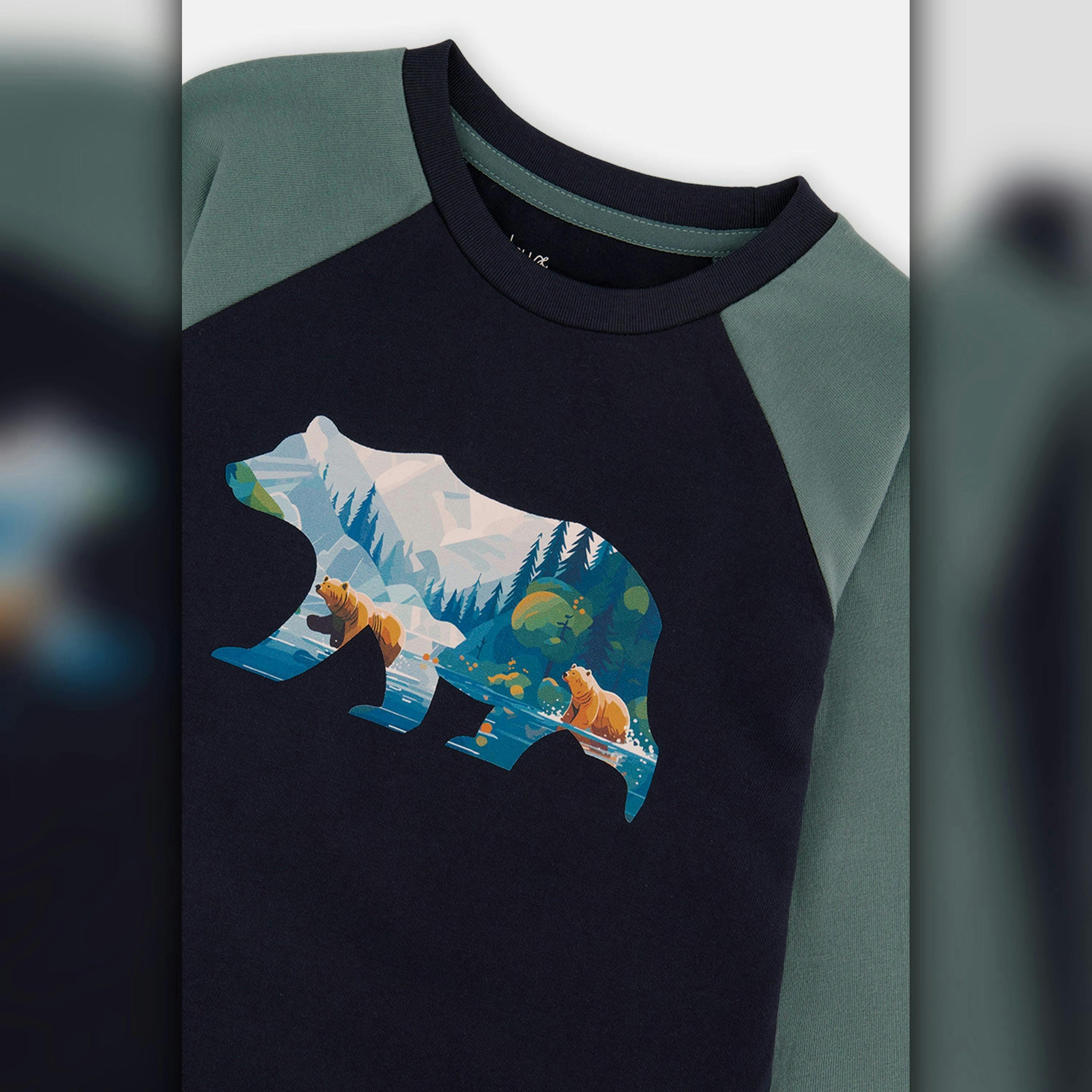 Raglan T-Shirt Dark Blue And Green , view 4 of 5