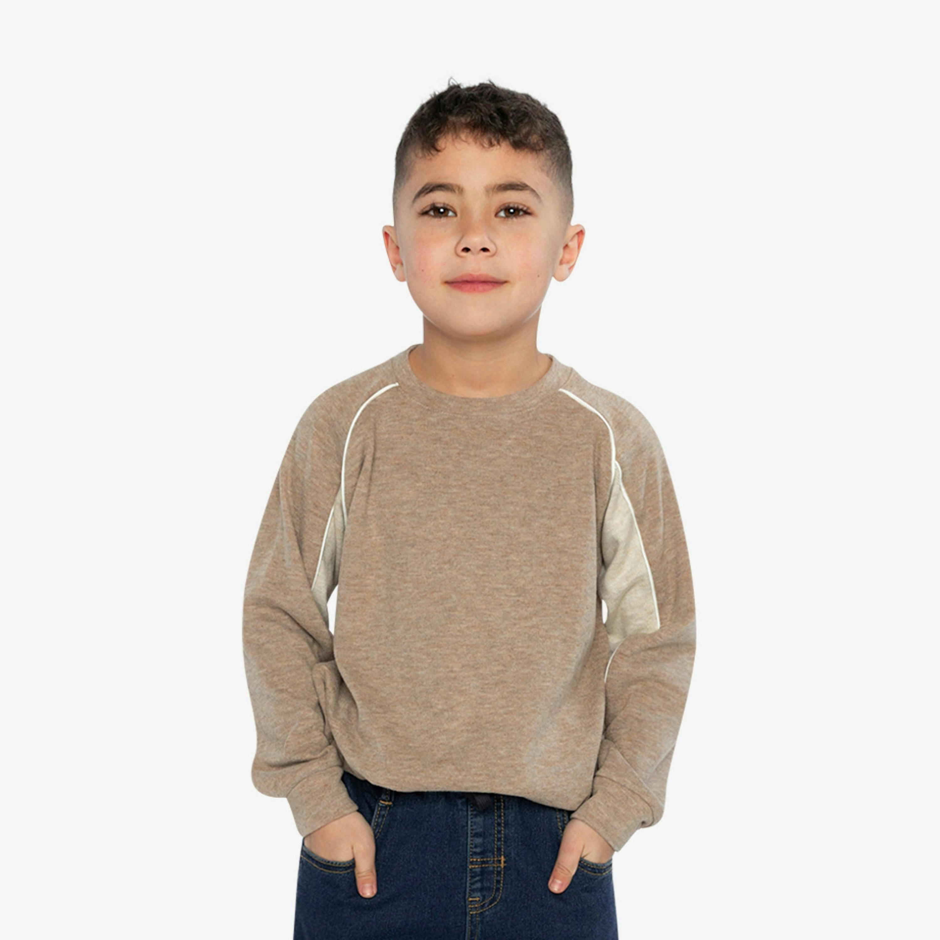 Brushed Jersey Top With Raglan Sleeves Taupe , view 2 of 6