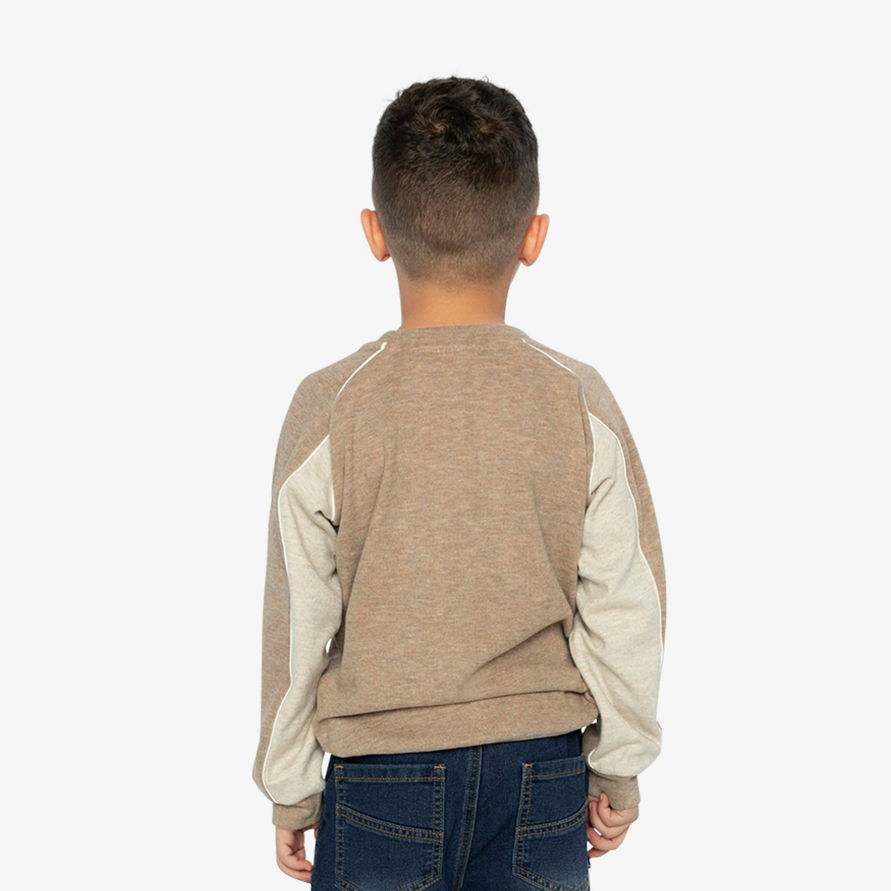 Brushed Jersey Top With Raglan Sleeves Taupe , view 4 of 6