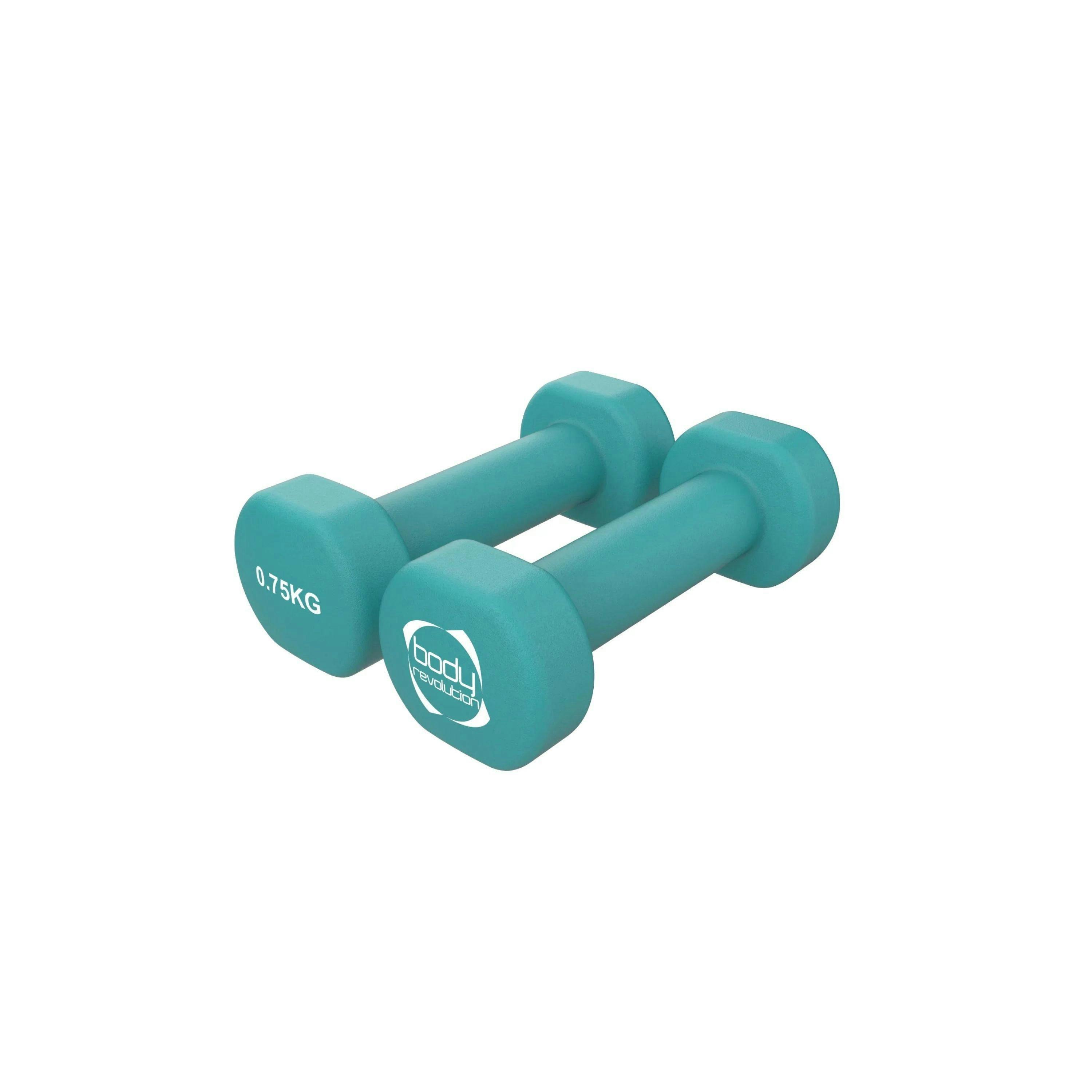 2 x 0.75KG Neoprene dumbbells , view 1 of 4