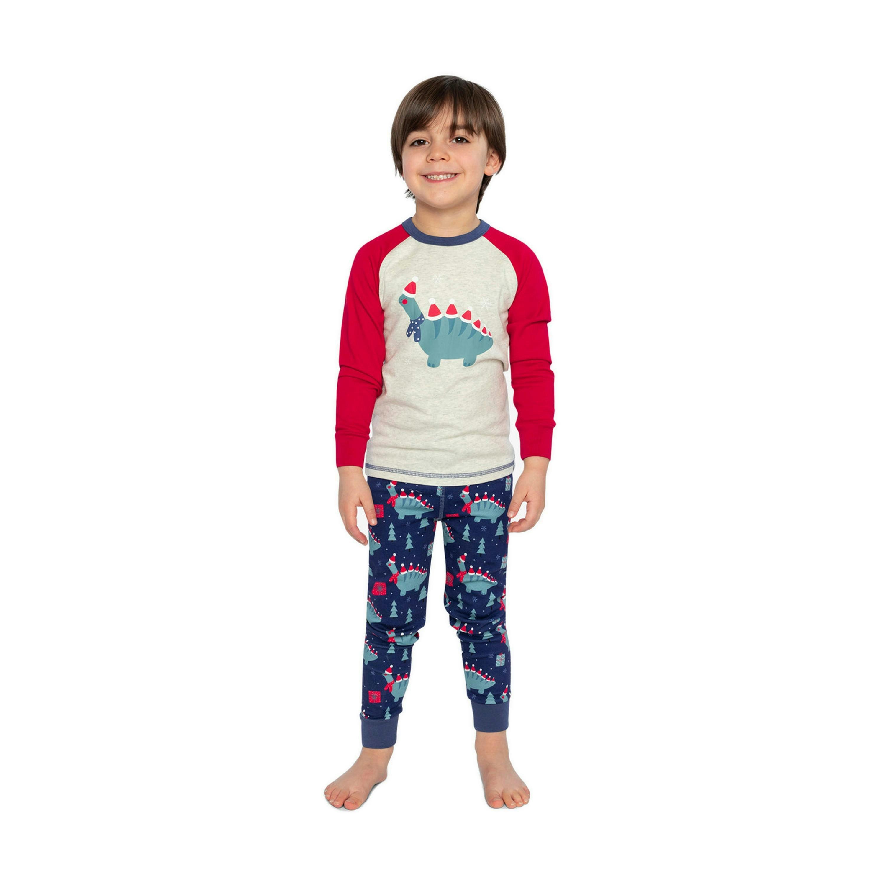 Organic Cotton Two Piece Pajama Set Blue Dinosaur Print , view 2 of 5