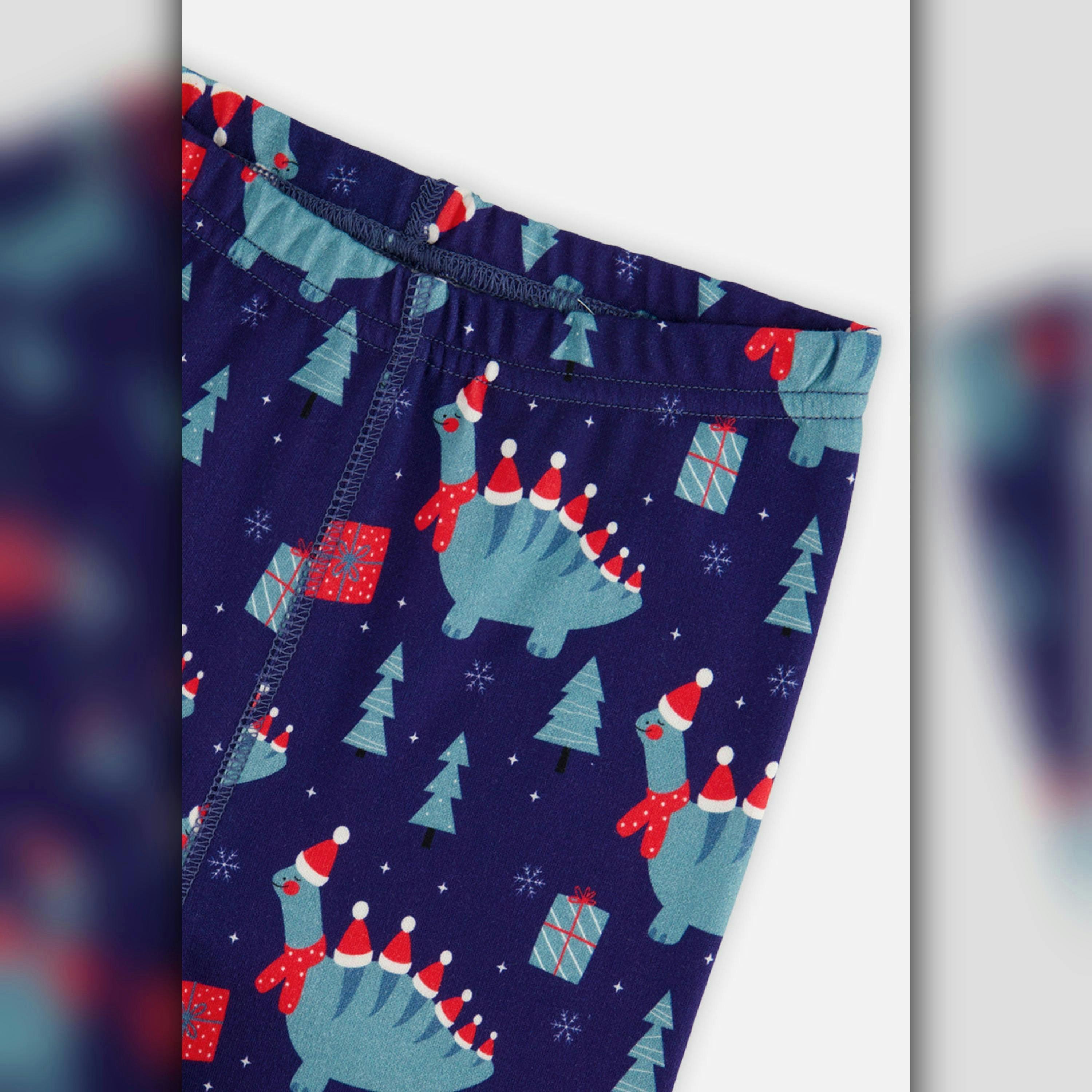 Organic Cotton Two Piece Pajama Set Blue Dinosaur Print , view 5 of 5