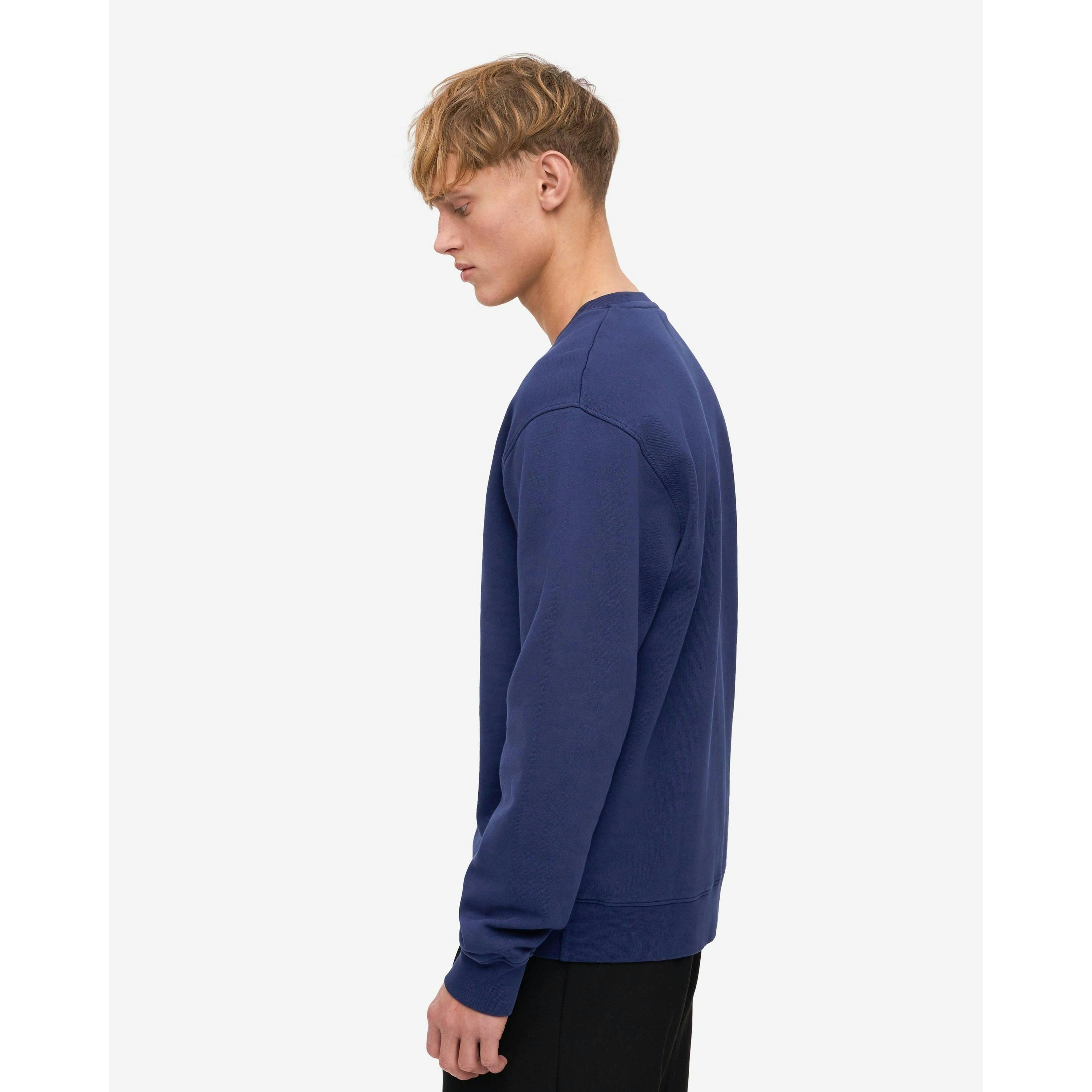 Colourful Standard Sweatshirt  in Purple , view 3 of 5