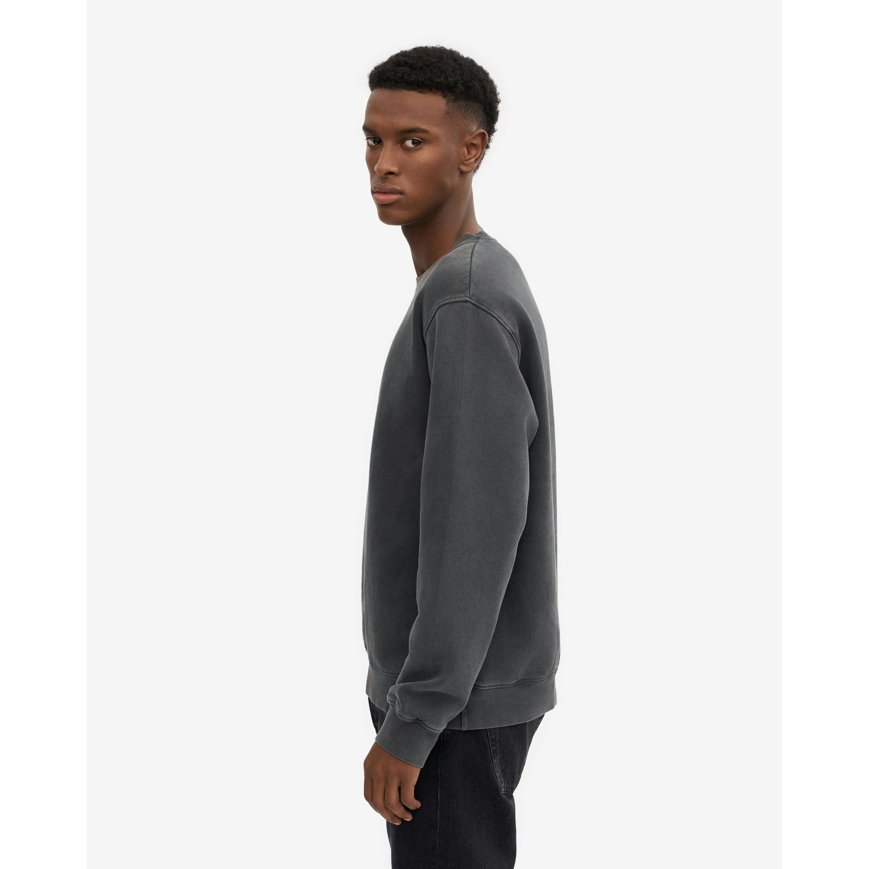 Colourful Standard Sweatshirt  in Grey , view 3 of 5